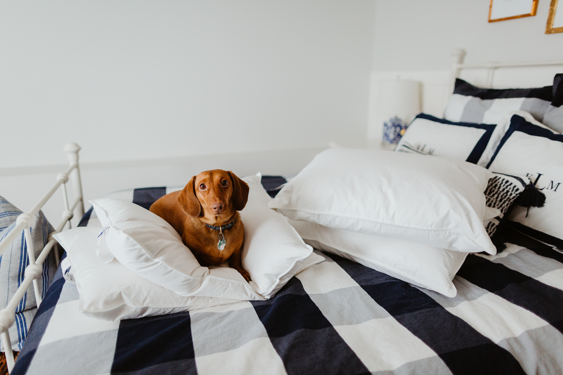 Must-Have Bedding Basics - The pillows - The Company Store