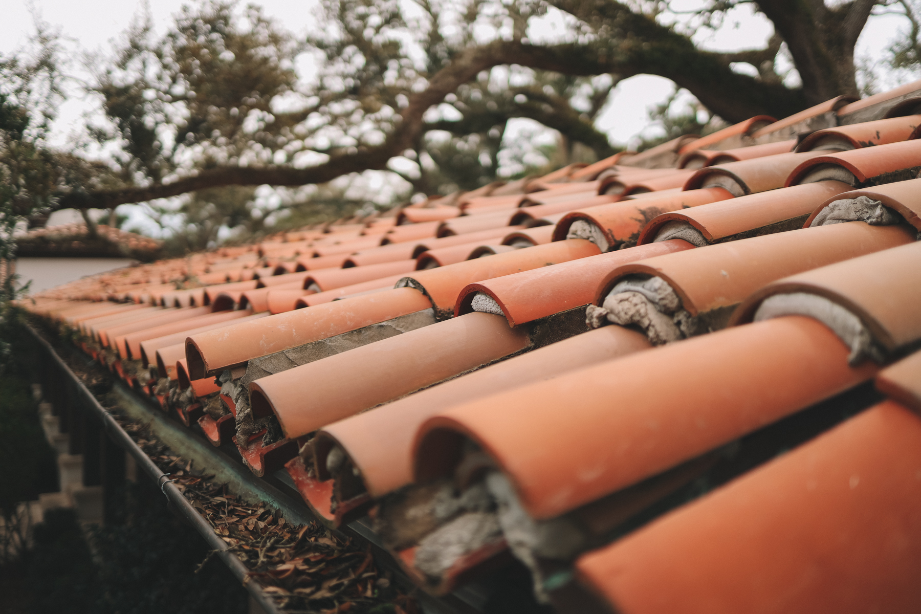 roof closeup