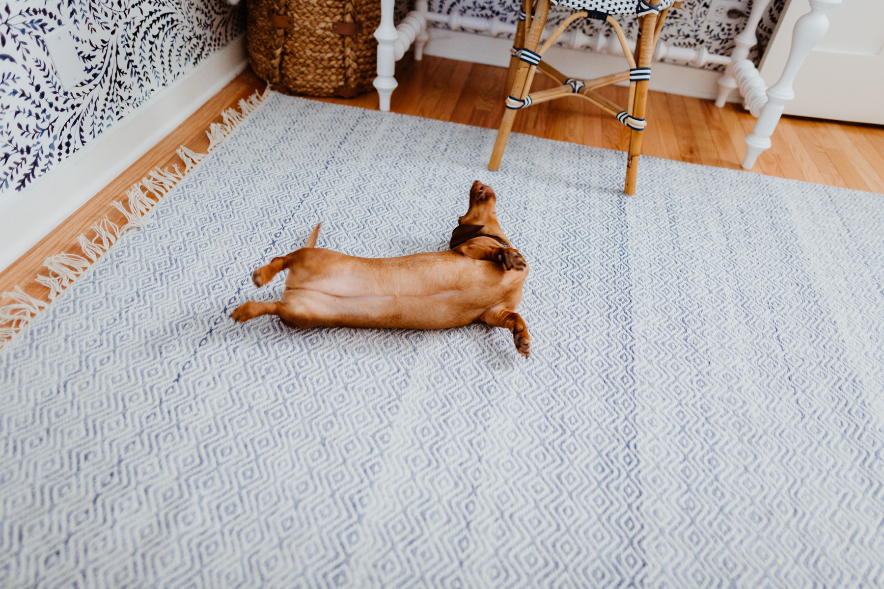 Performance Indoor/Outdoor Rug (So soft!)