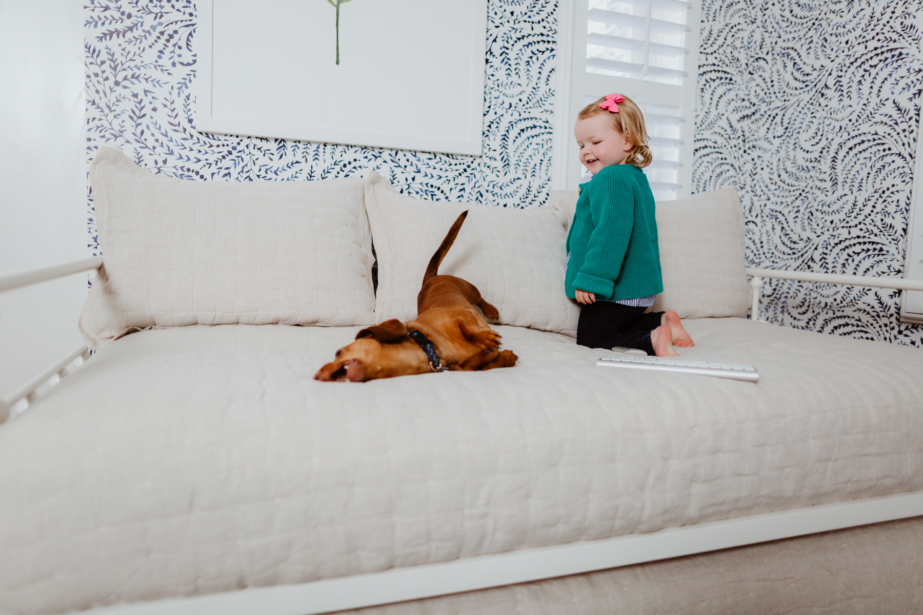 Emma and Noodle playing over Amazon Daybed with Trundle