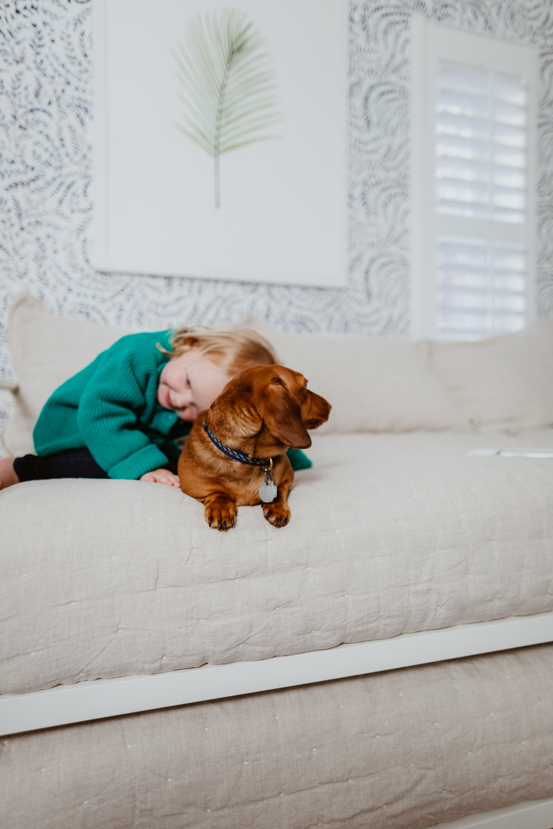 Emma and Noodle playing over Amazon Daybed with Trundle