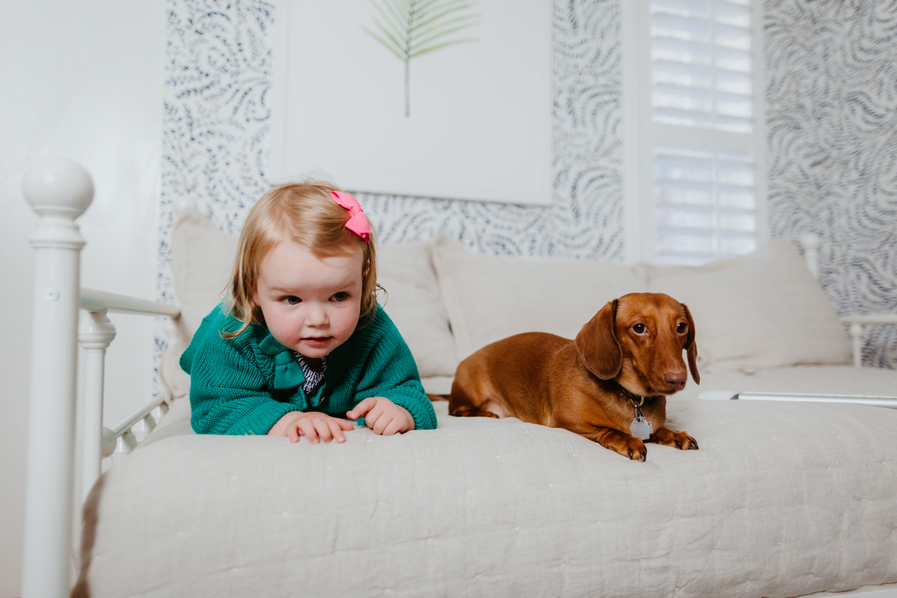 Emma and Noodle playing over Amazon Daybed with Trundle