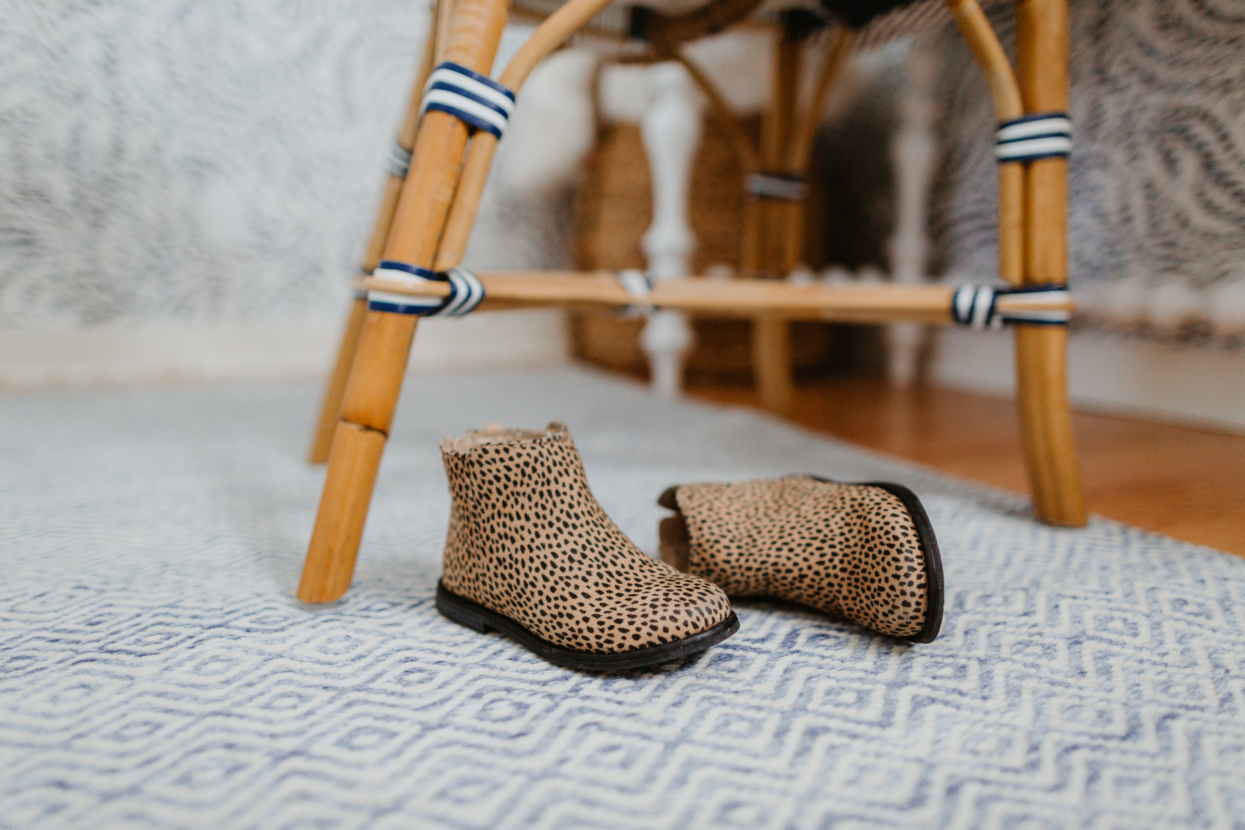 Performance Indoor/Outdoor Rug (So soft!), and animal print boots