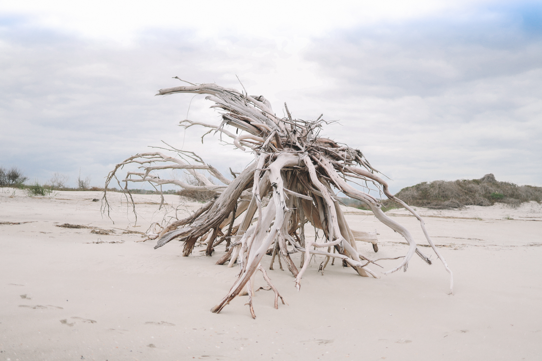 Sea Island, Georgia