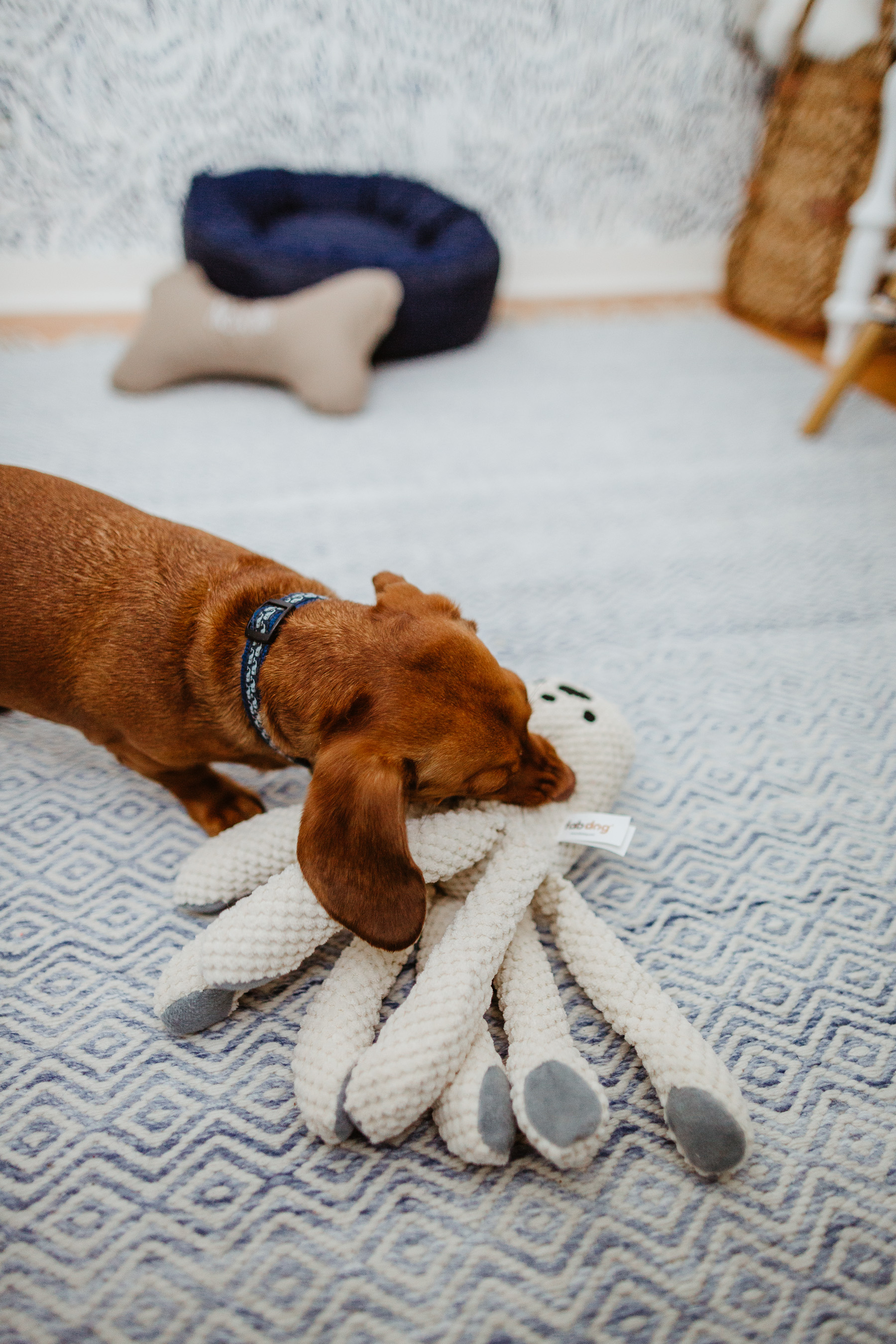 The Cutest Dog Products - Octopus toy