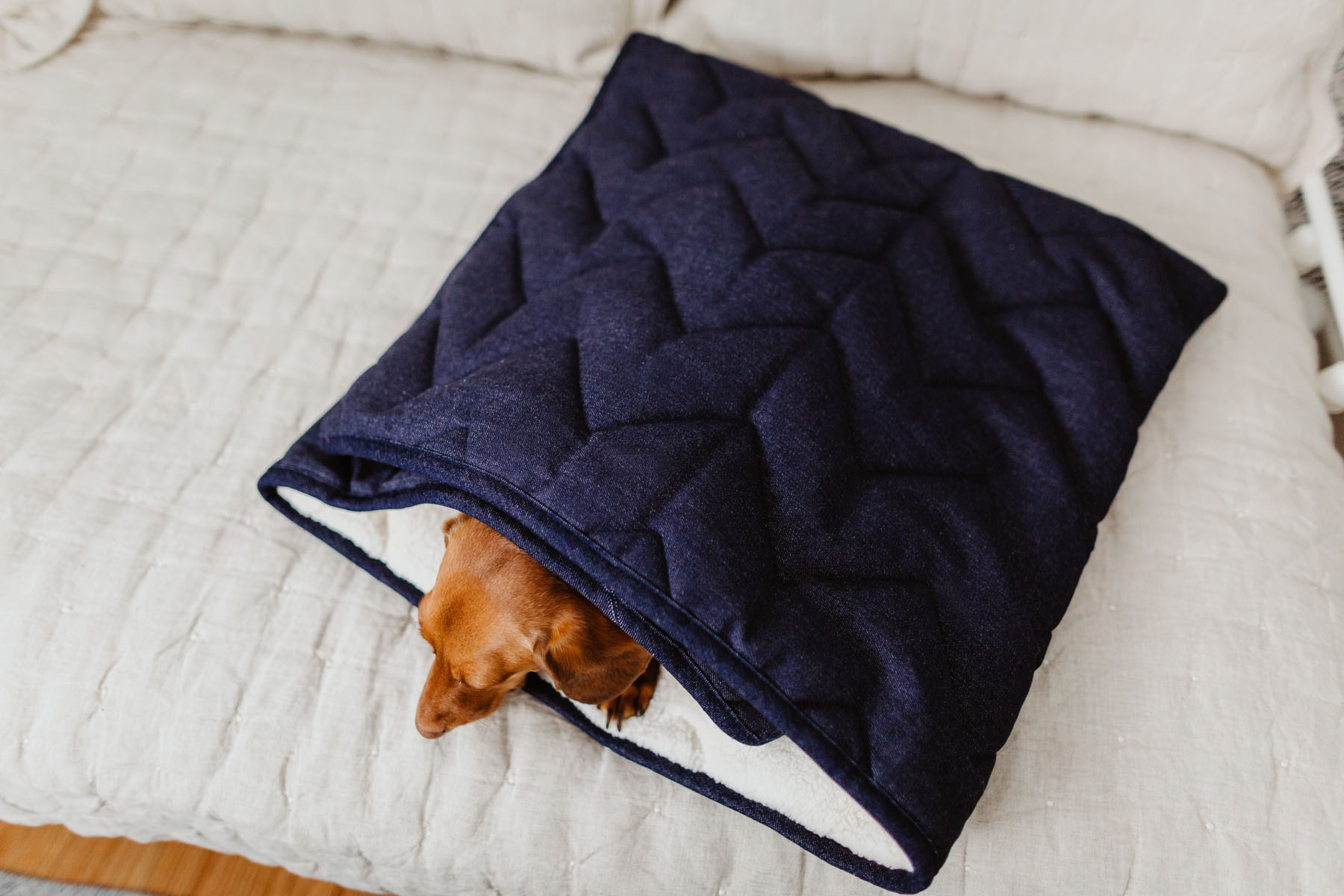 The cutest dog products - Denim Pet Sleeping Bag