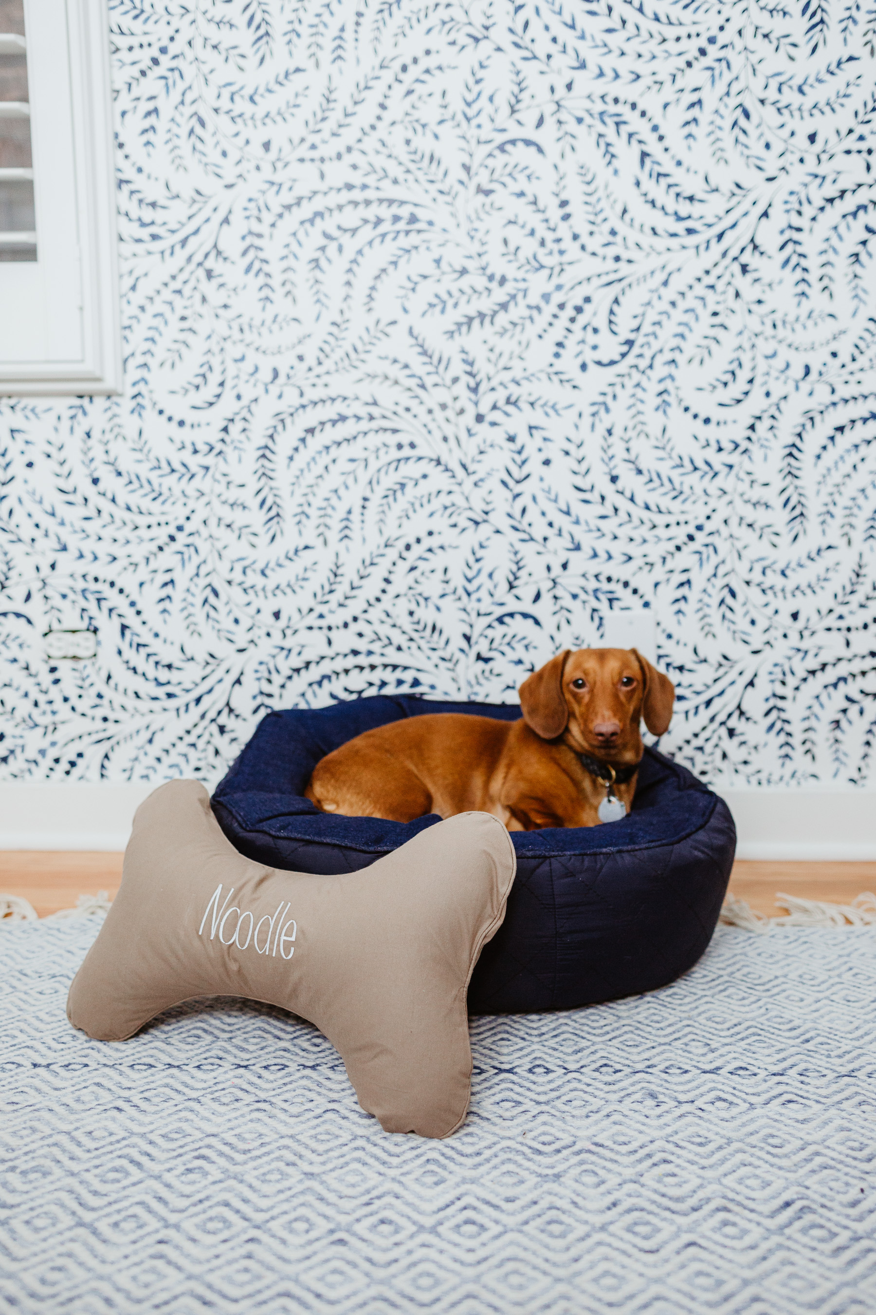 The Cutest Dog Products - Solid round dog bag