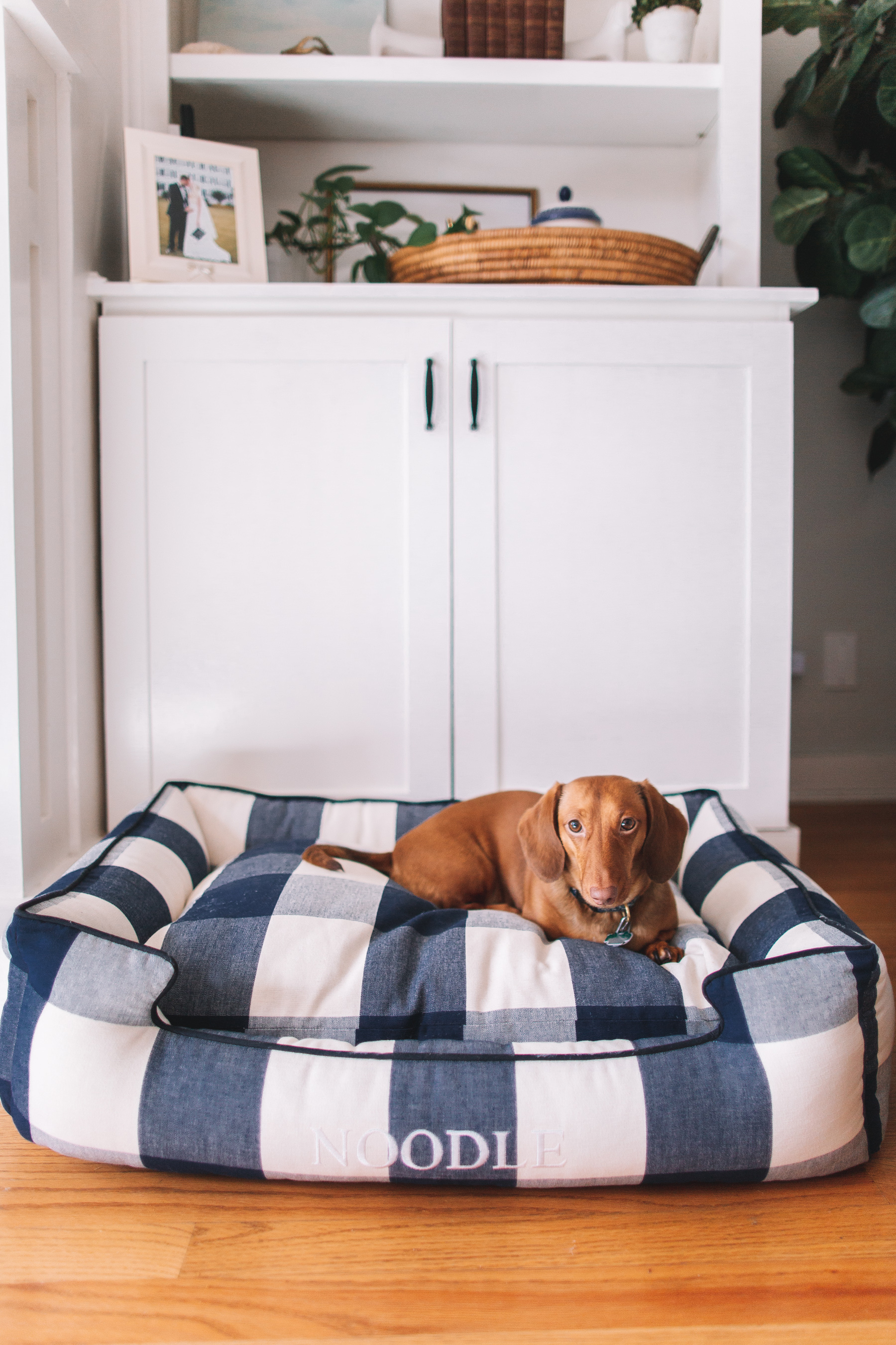 Gingham Dog Bed