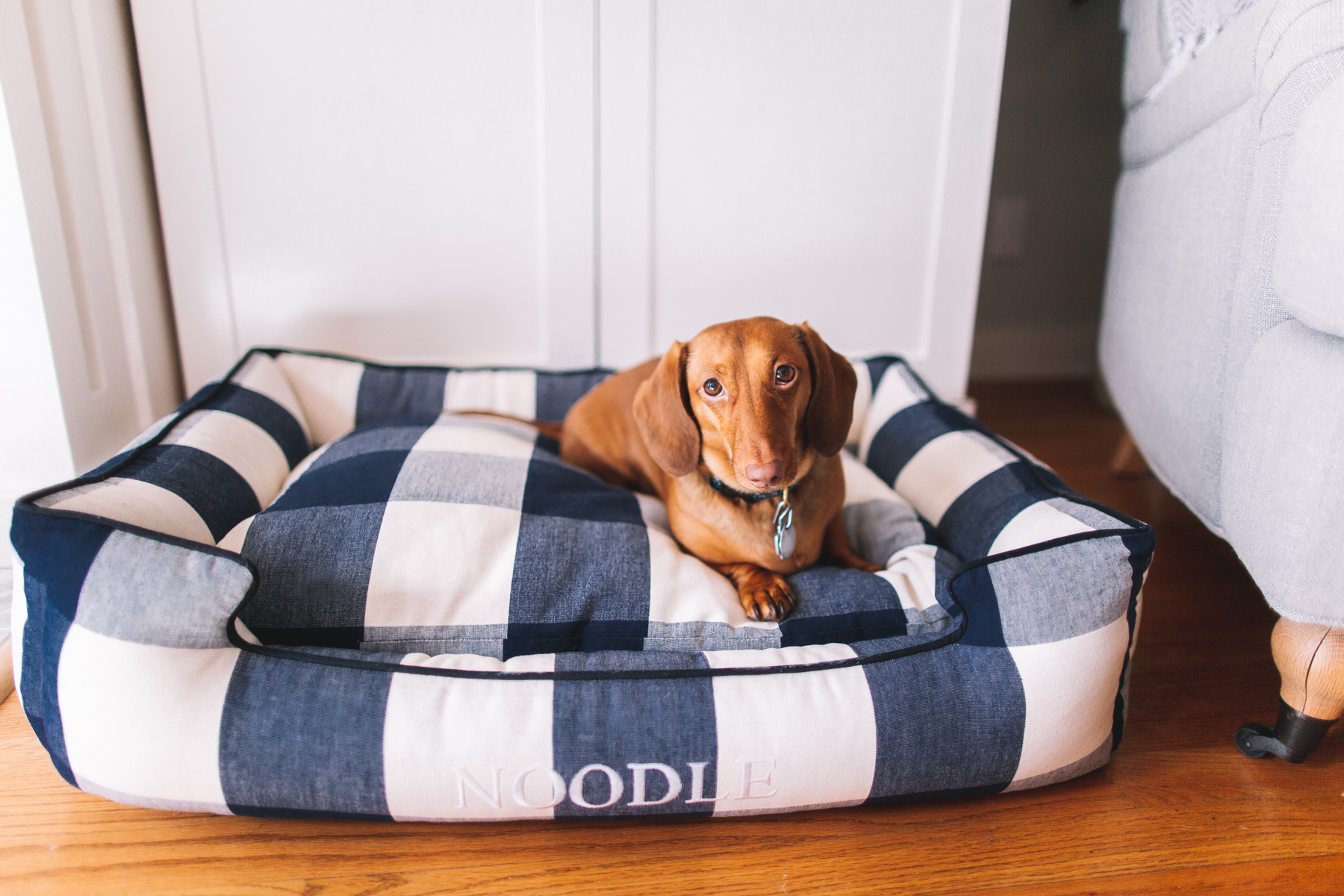 Gingham Dog Bed