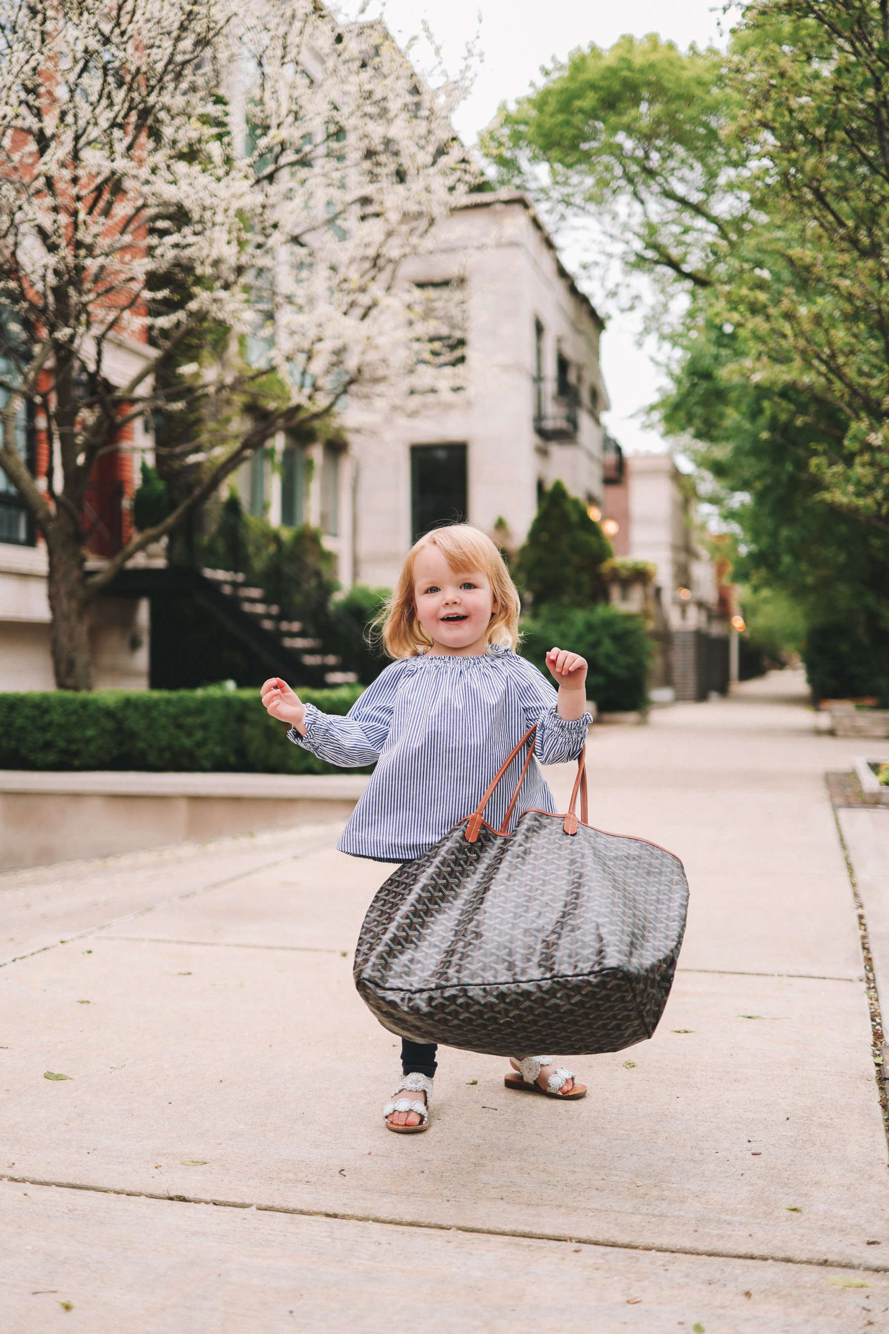 Goyard Saint Louis tote bag review and how to care - With Love