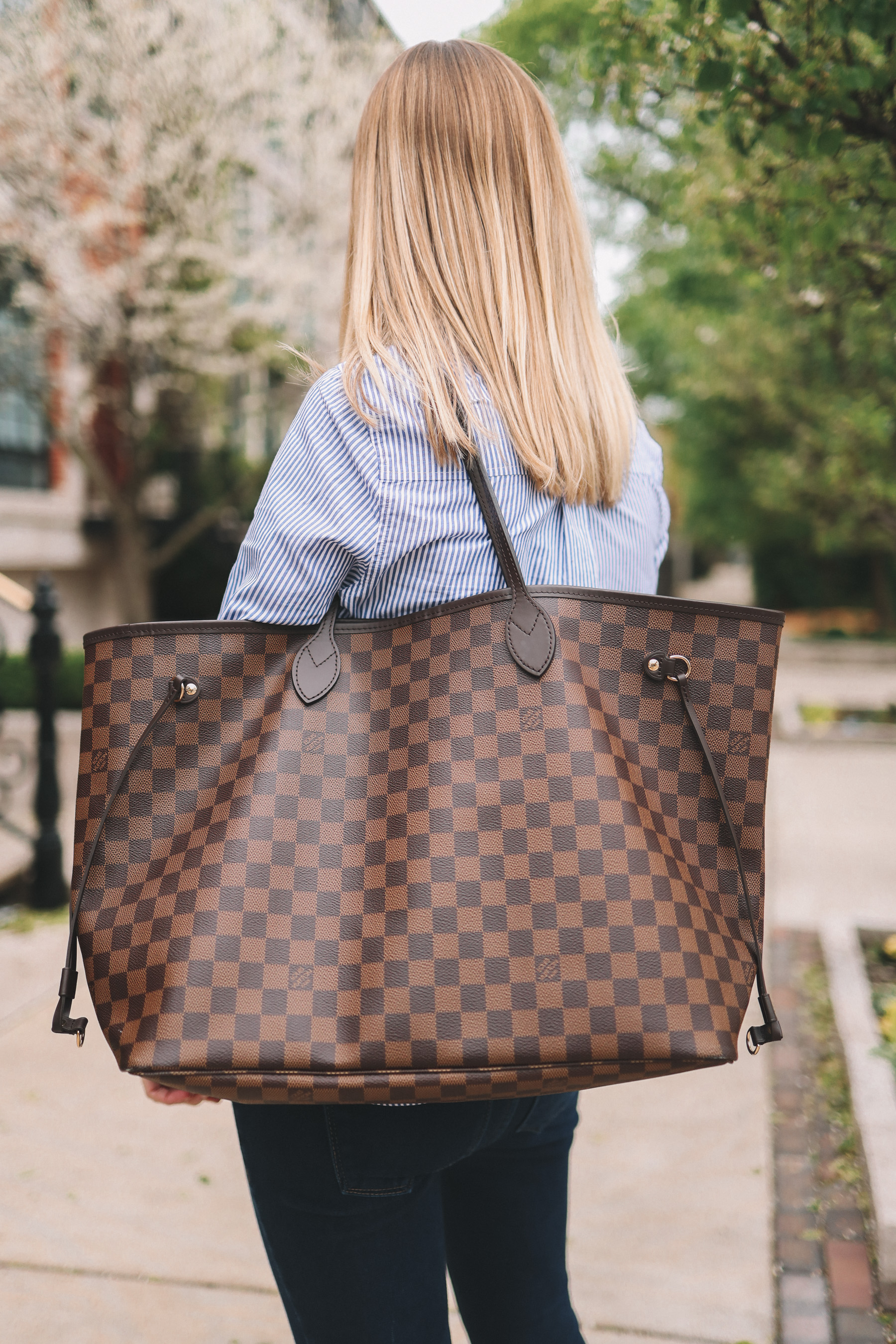 Review: Louis Vuitton Neverfull vs Goyard Saint Louis Totes