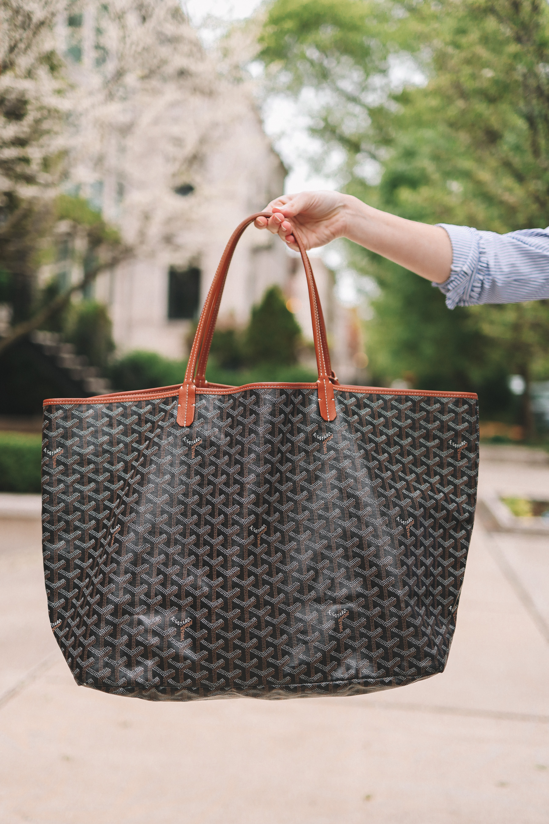 Louis Vuitton Neverfull vs Goyard Saint 