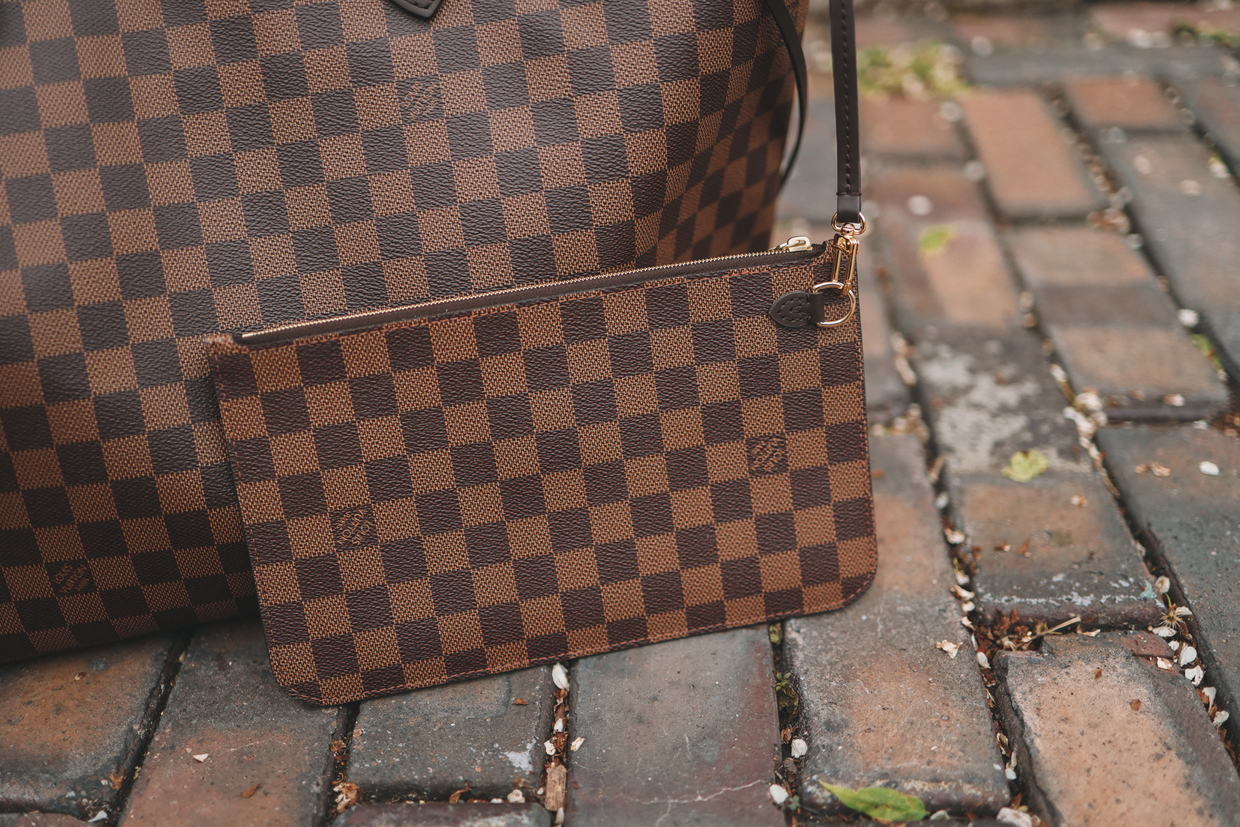 LV Neverfull vs Goyard Comparison