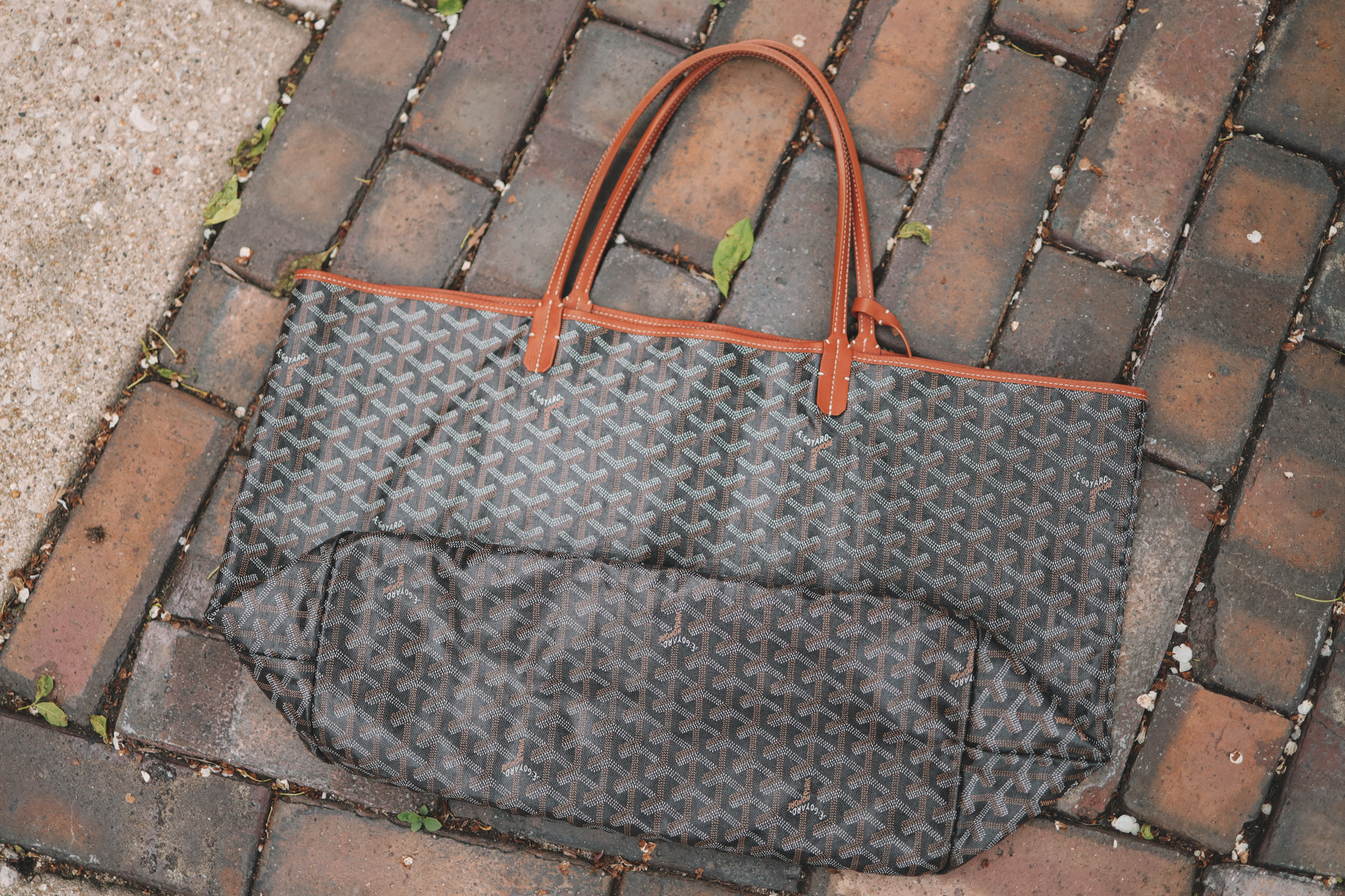 Goyard St Louis Tote GM vs. PM Reviews: Dimensions, Colors