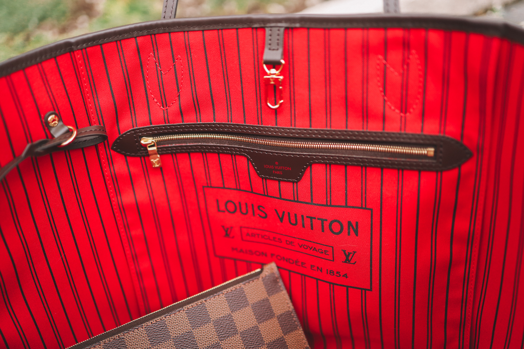 LV Neverfull & Goyard Review & Comparison (The Sweetest Thing)