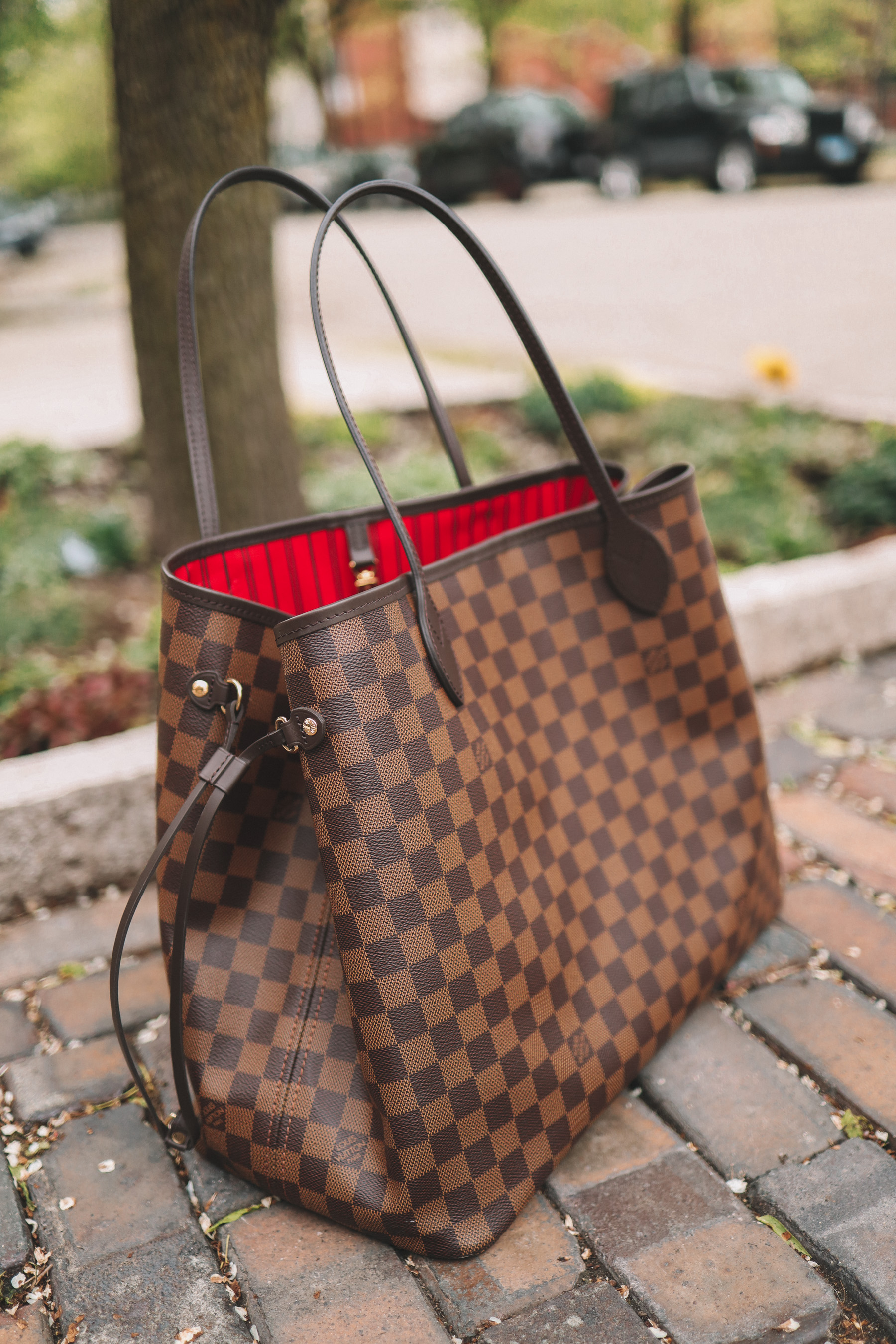 Louis Vuitton VS. Goyard Handbag Review