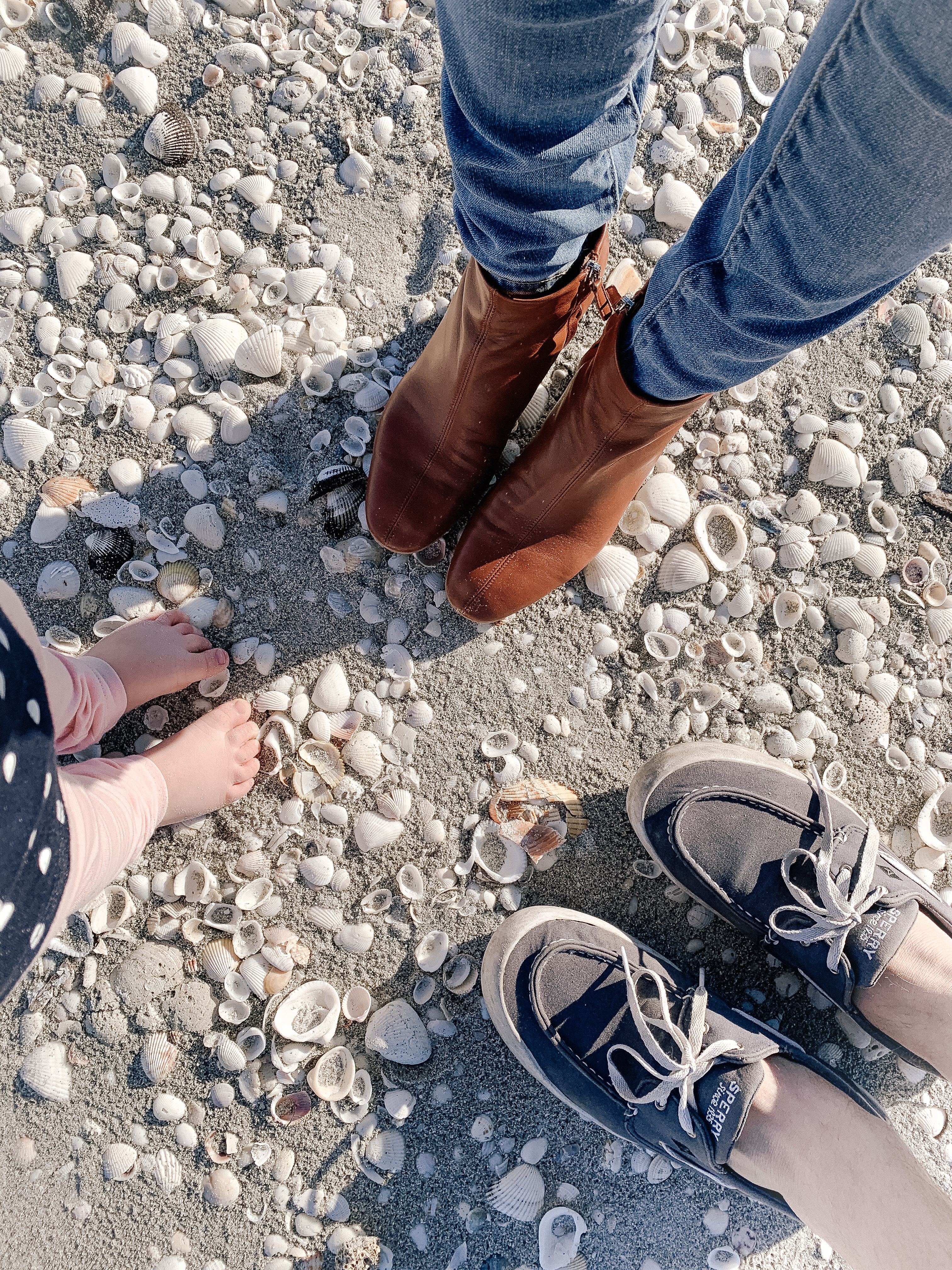 Shelling in Captiva