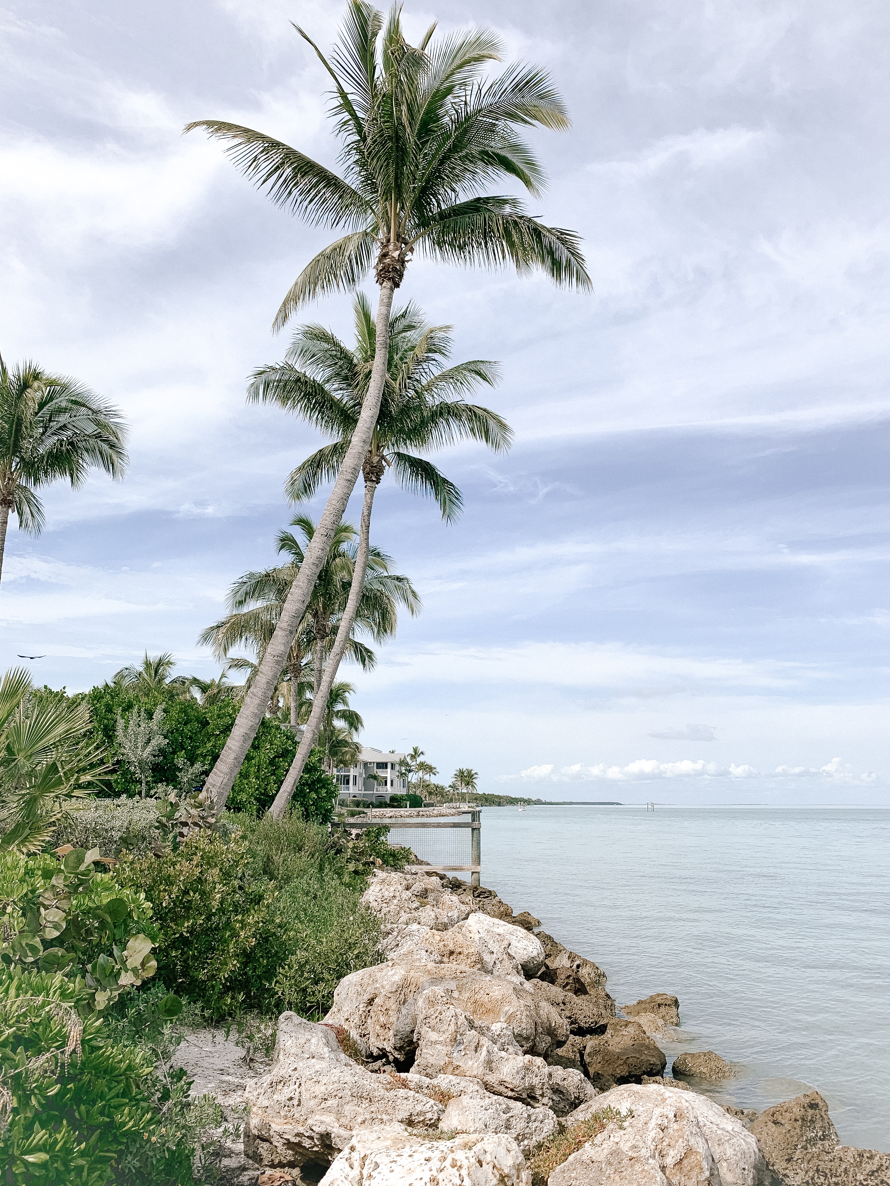 Guide to Captiva, Florida, Things To Do & More