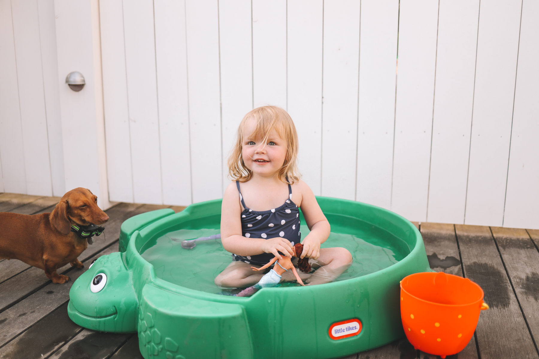 Turtle sandbox/pool