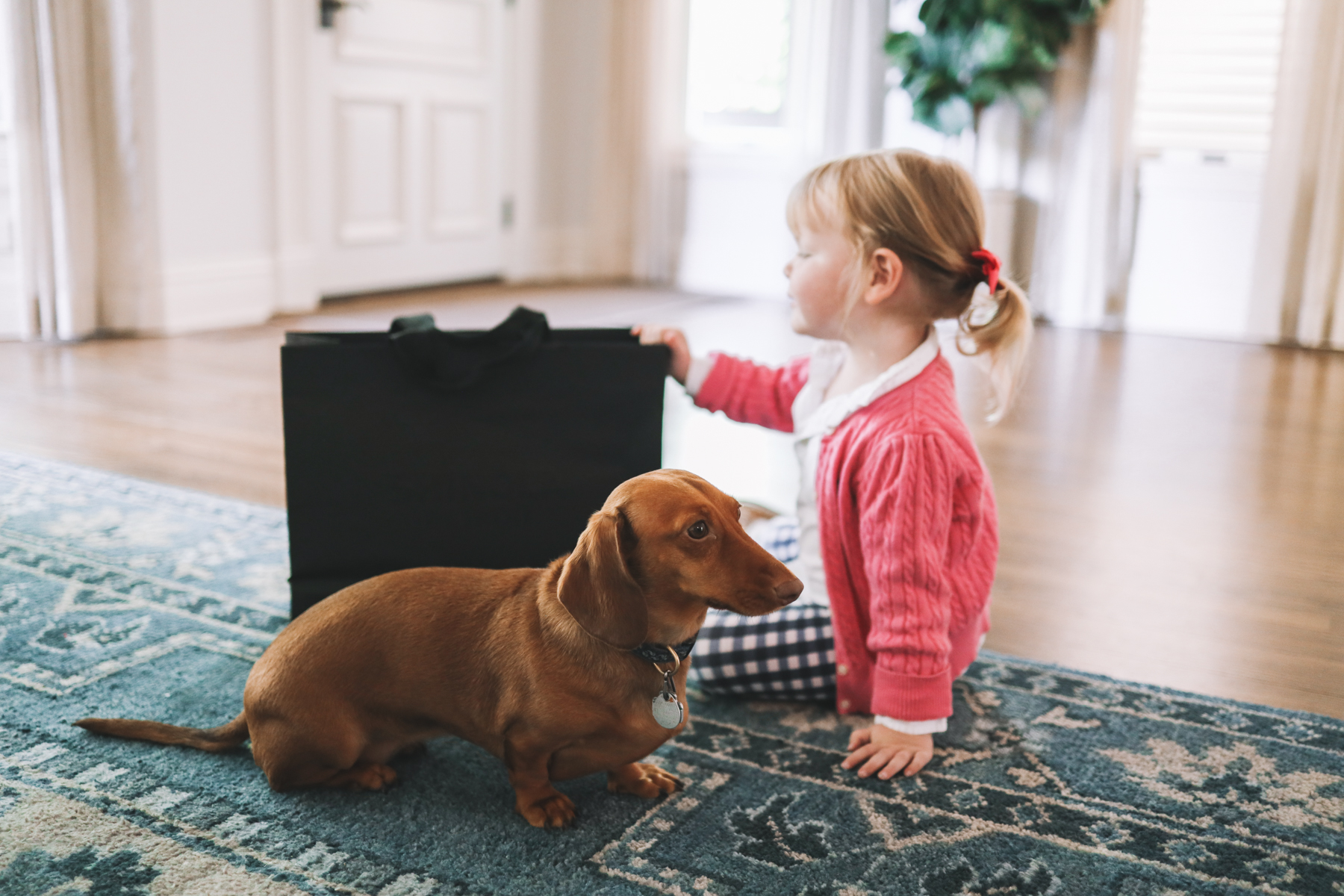 Toddler and her dog