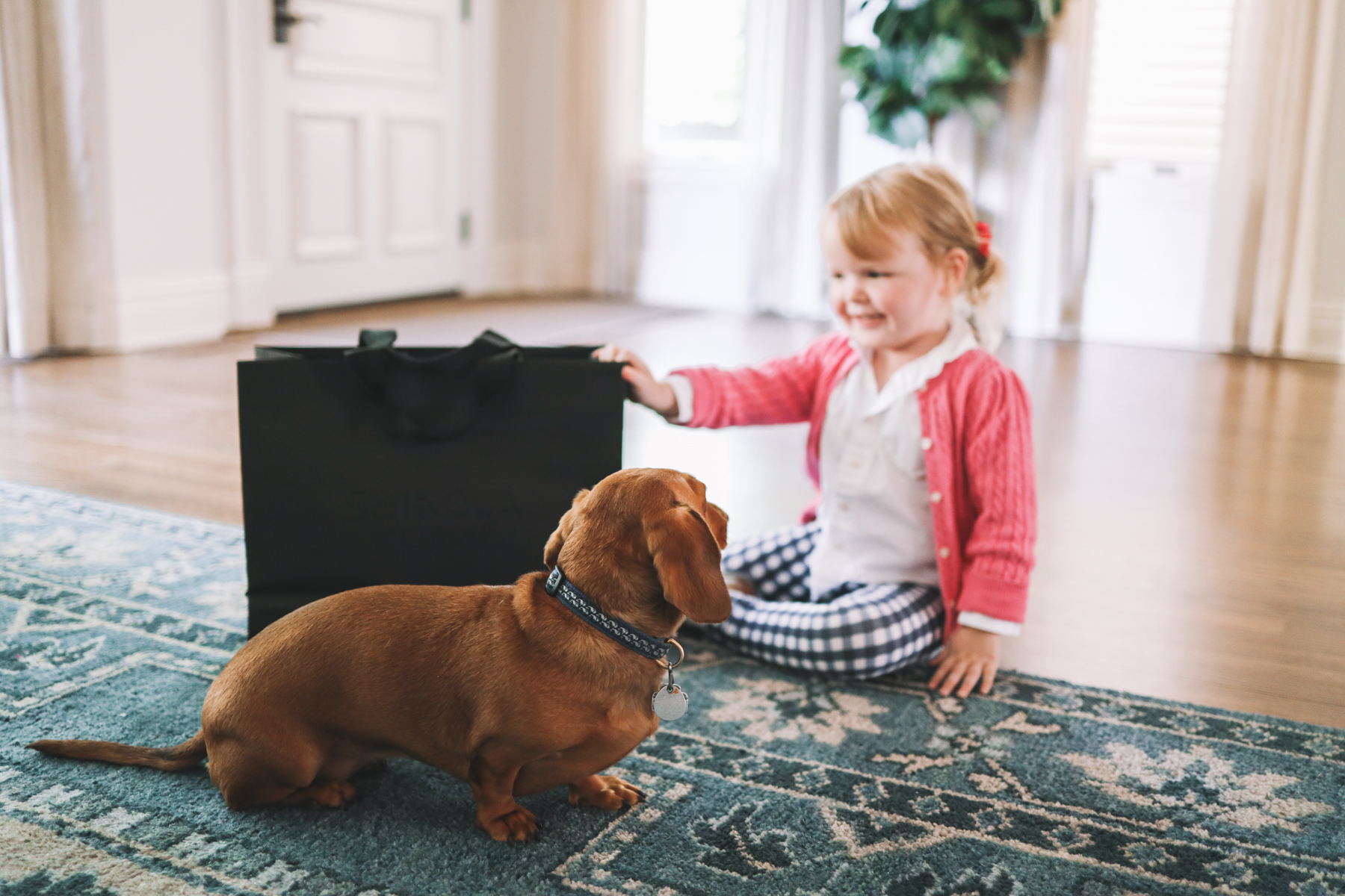 Toddler and her dog