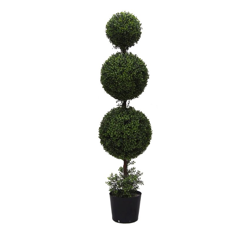 Triple Ball Boxwood Topiaries