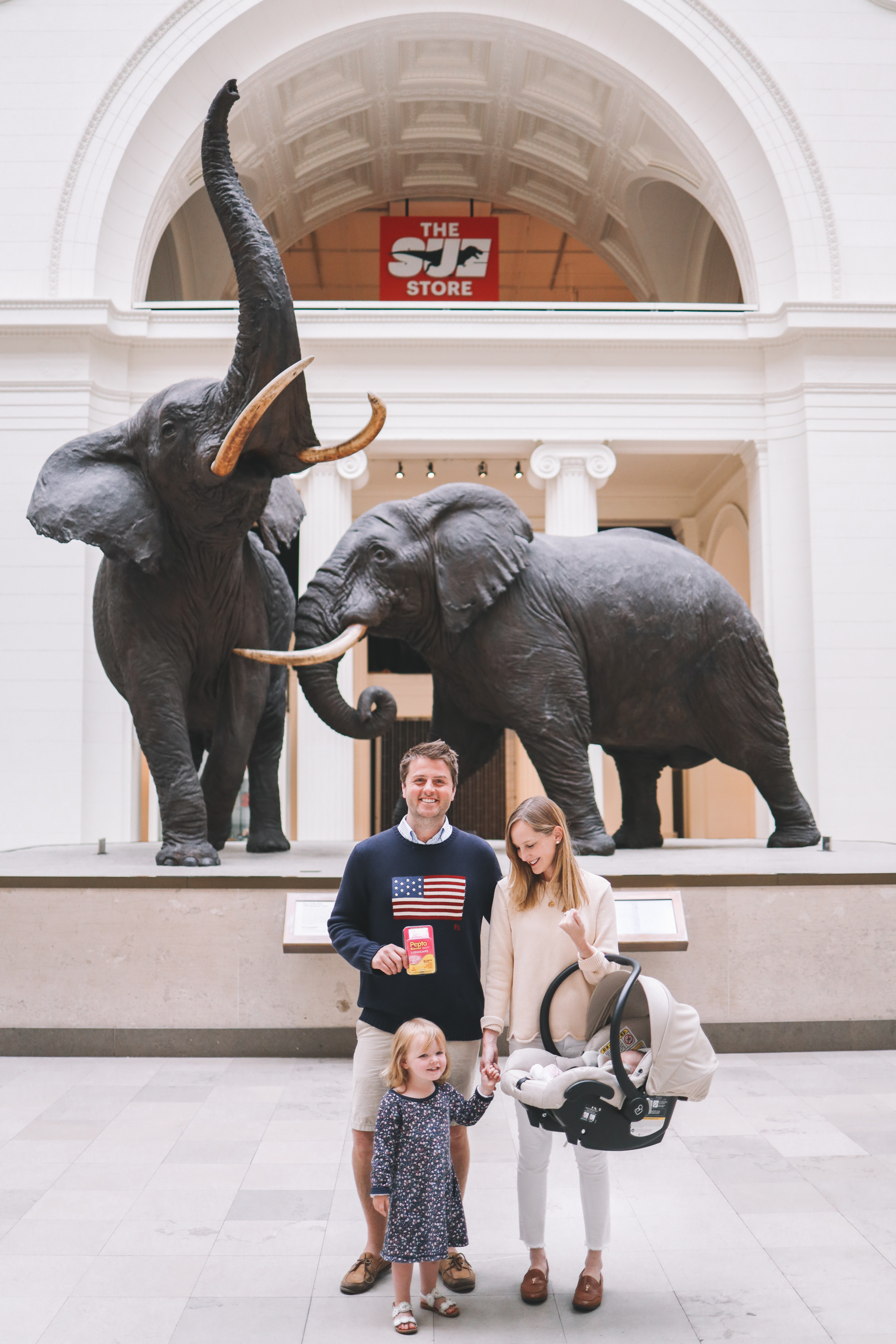 Visiting the Field Museum in Chicago | Kelly in the City