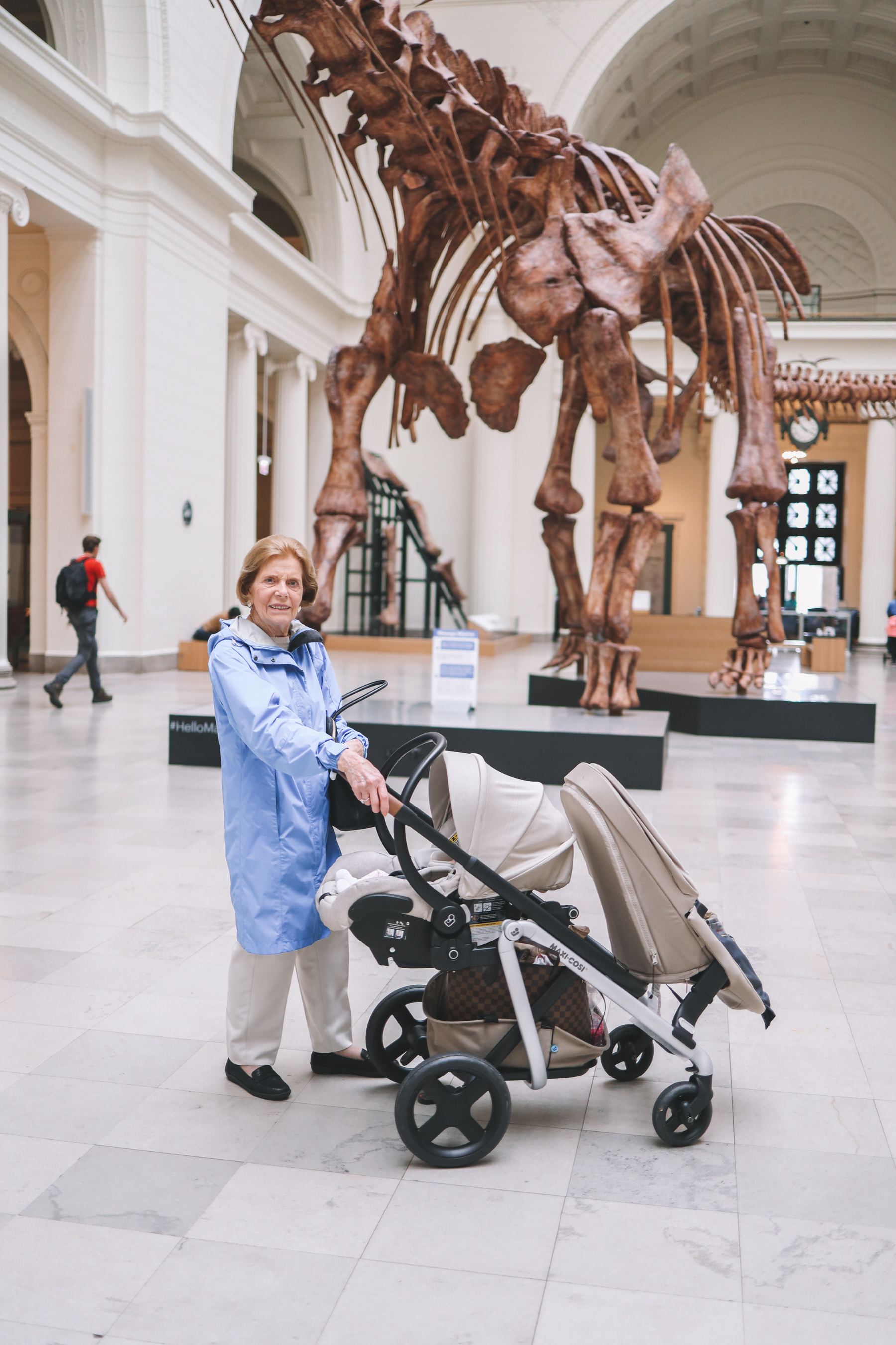 Visiting the Field Museum in Chicago | Kelly in the City