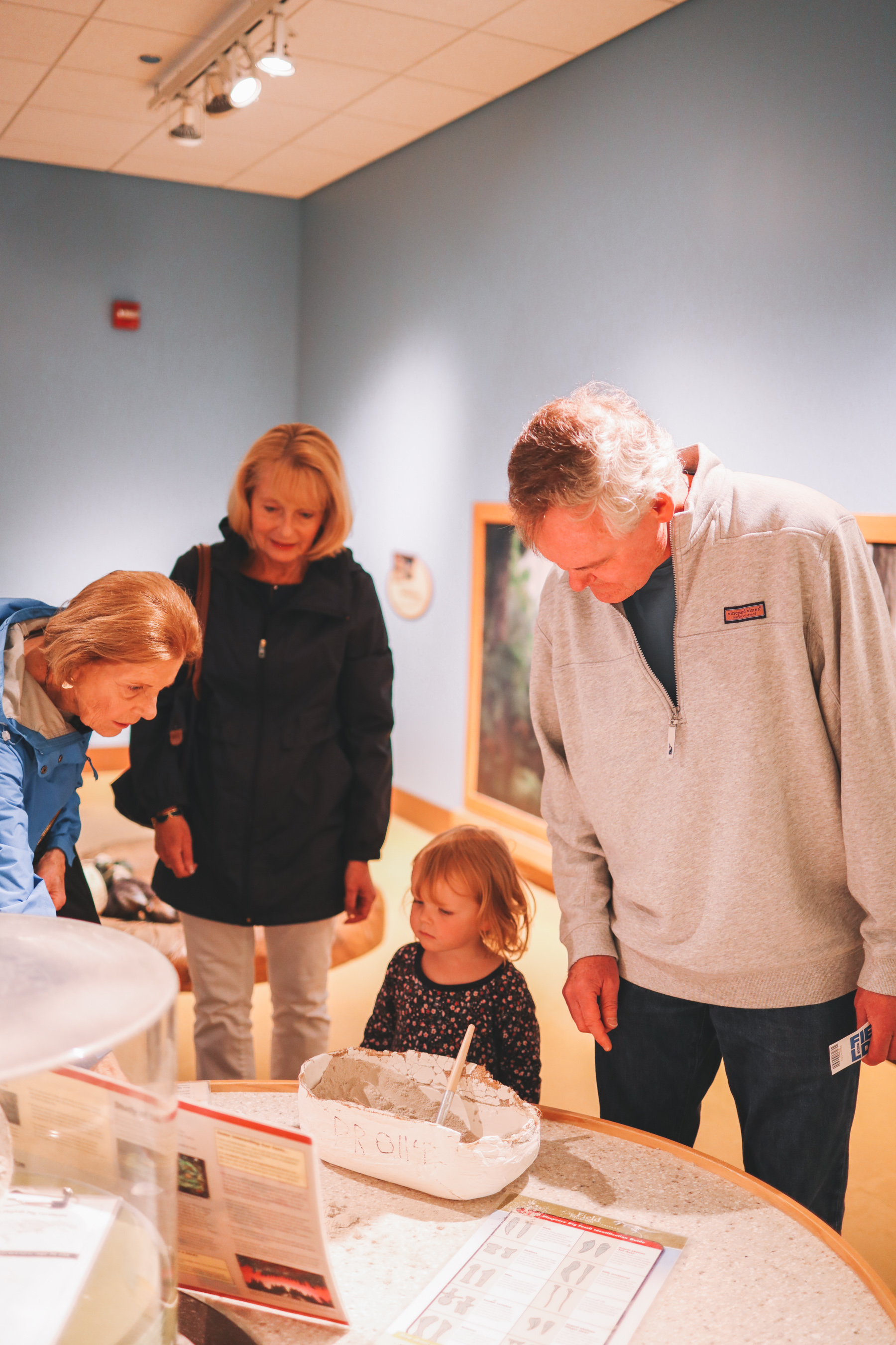 Visiting the Field Museum in Chicago | Kelly in the City