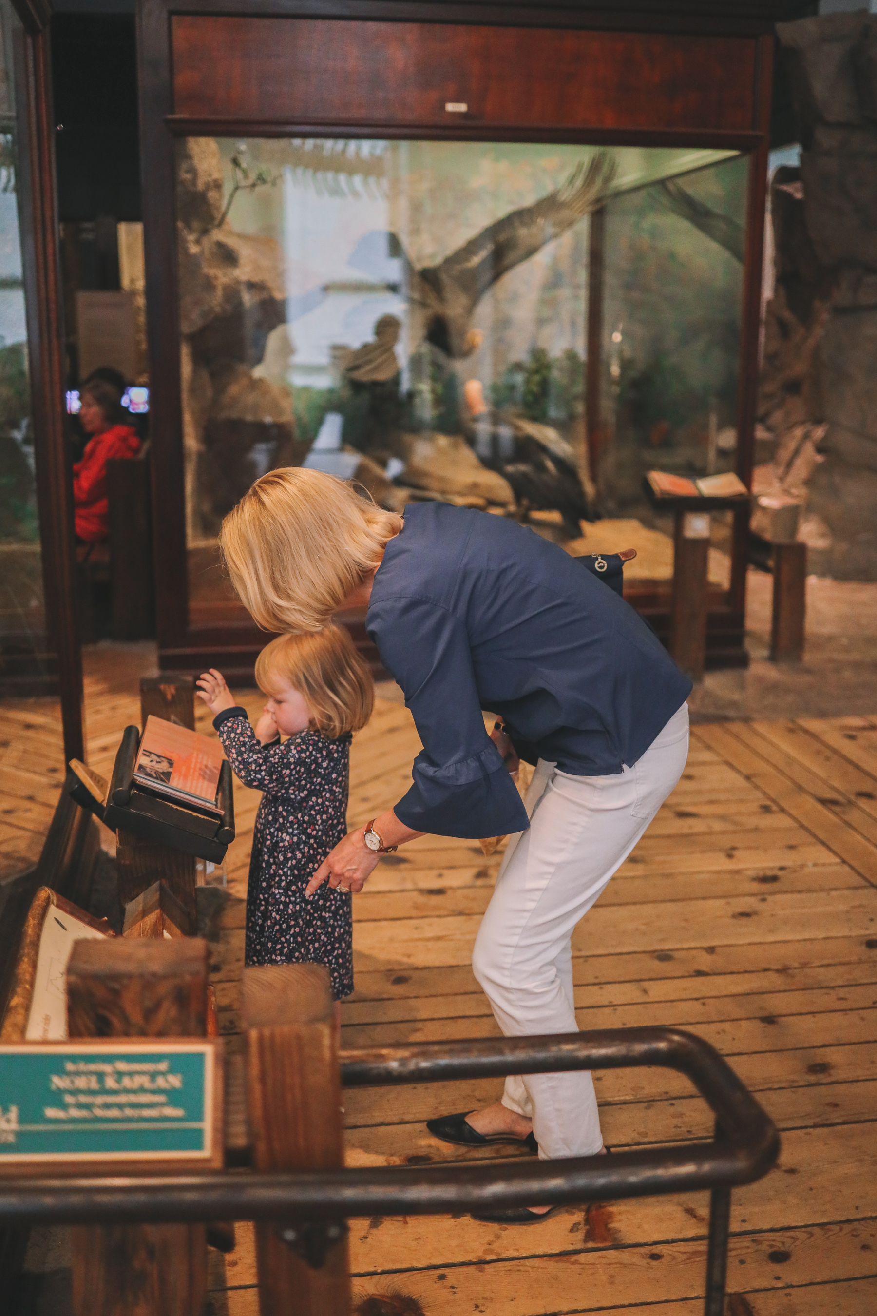 Field Museum in Chicago IL | Kelly in the City