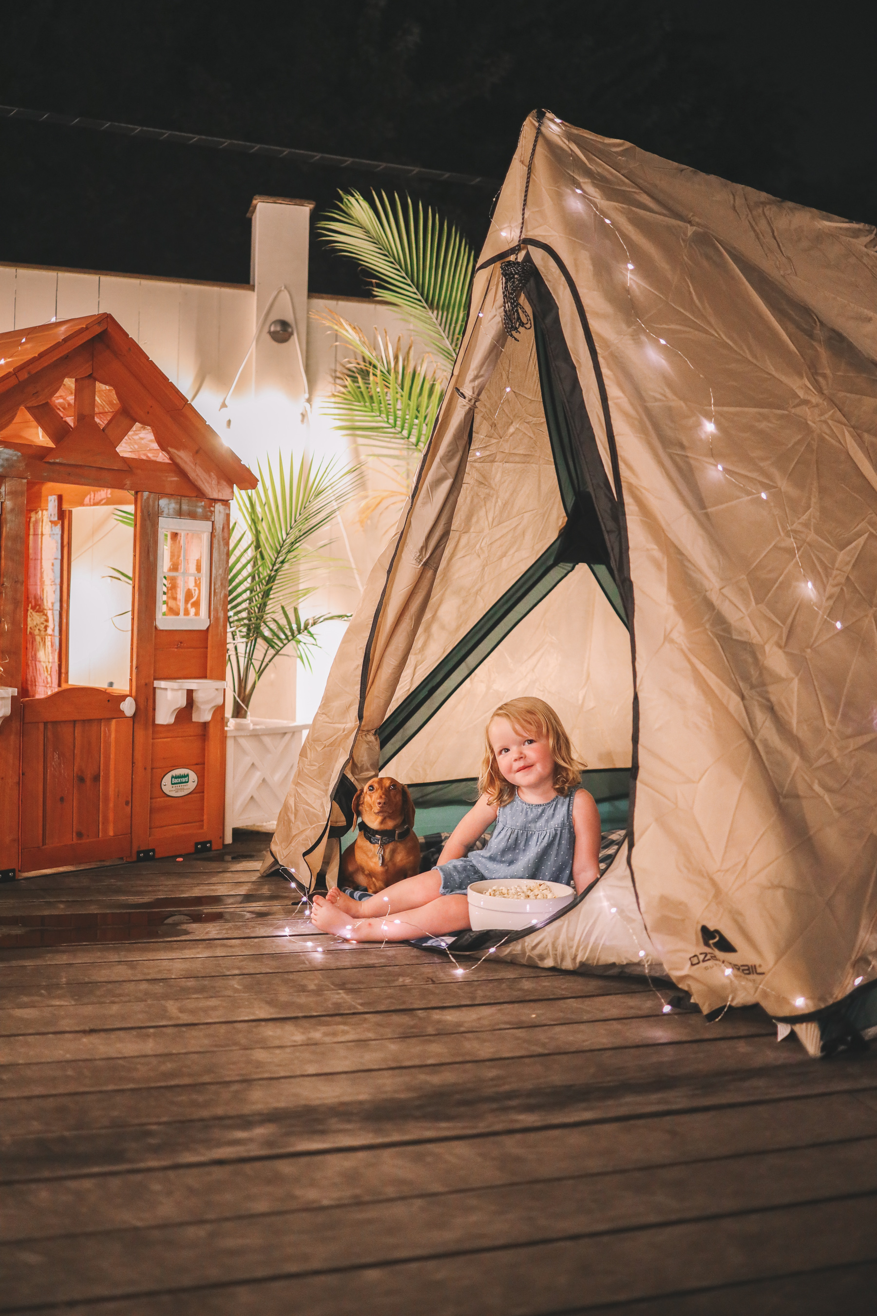 toddler and her dog camping