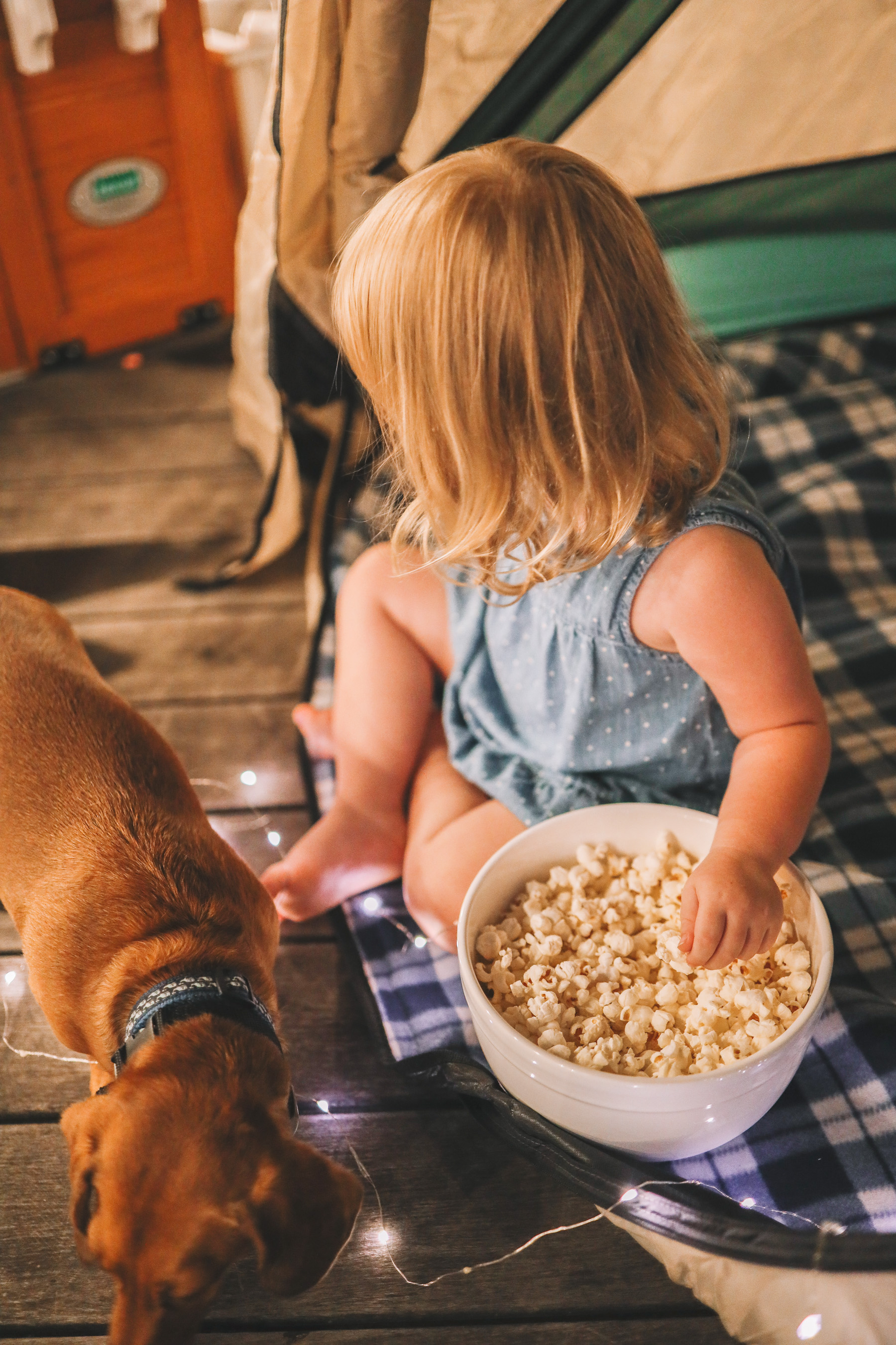 dog and toddler