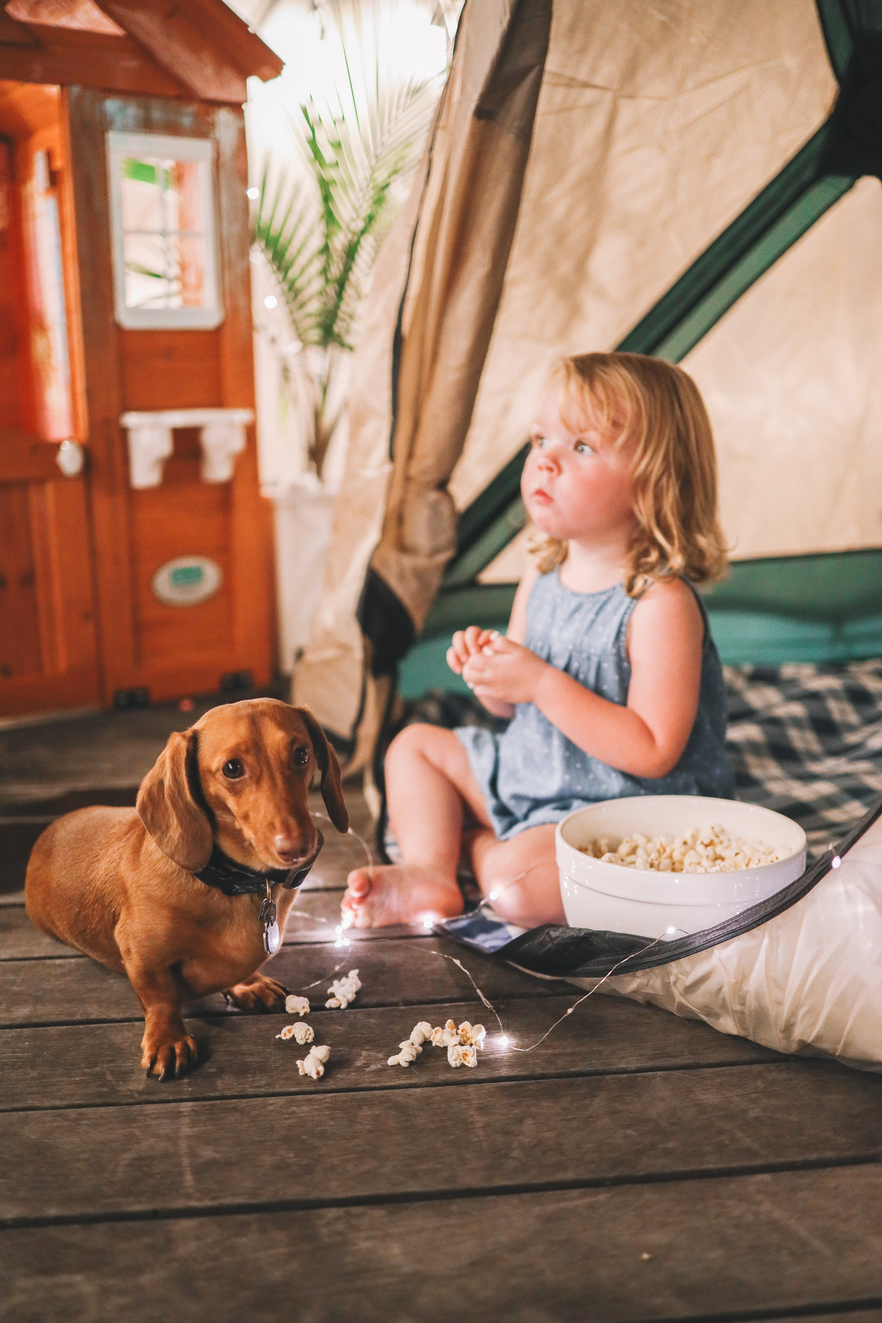 Backyard Camping with Walmart