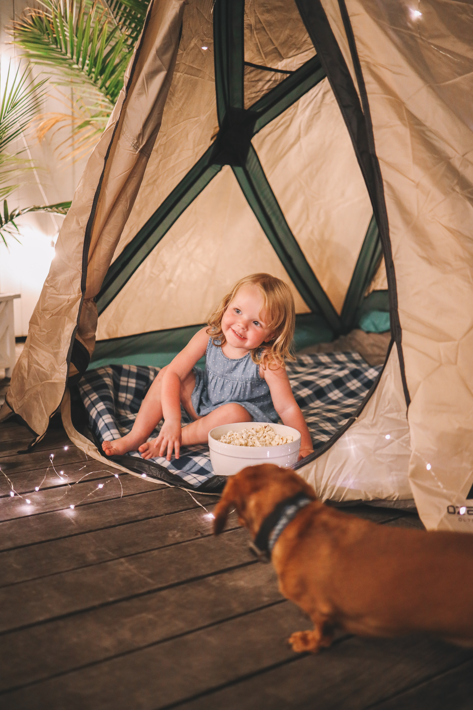 Backyard Camping with Walmart by Kelly in the City