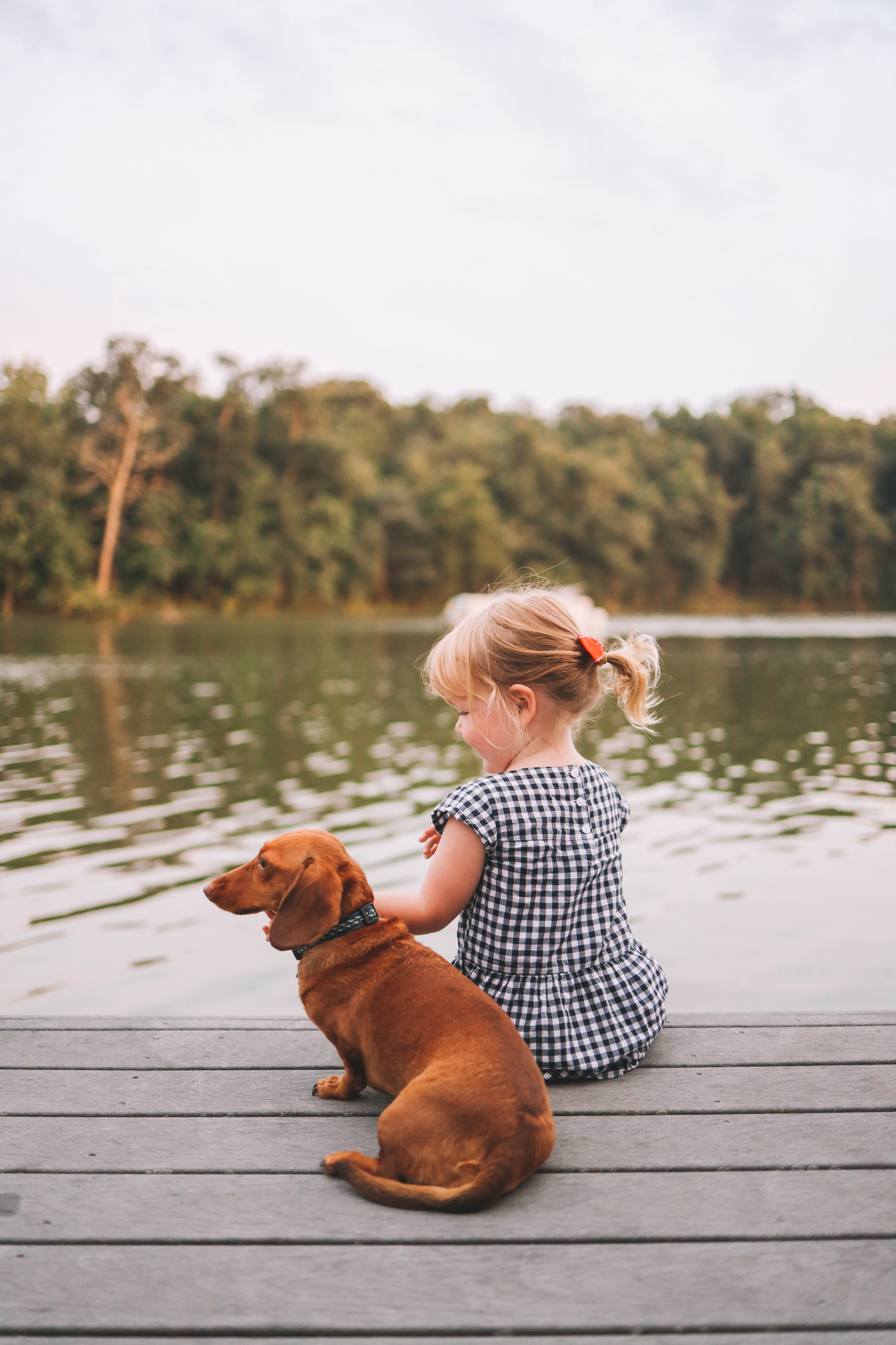 a dog and a little girl