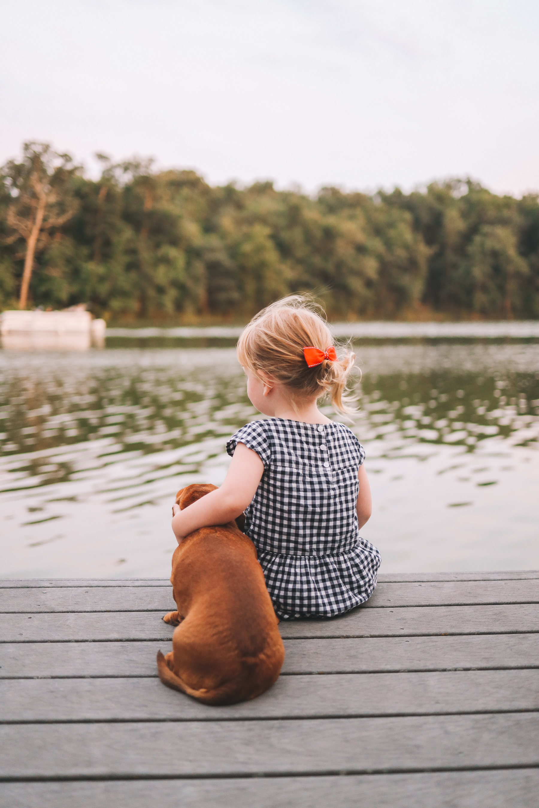 noodle on the dog with the little girl