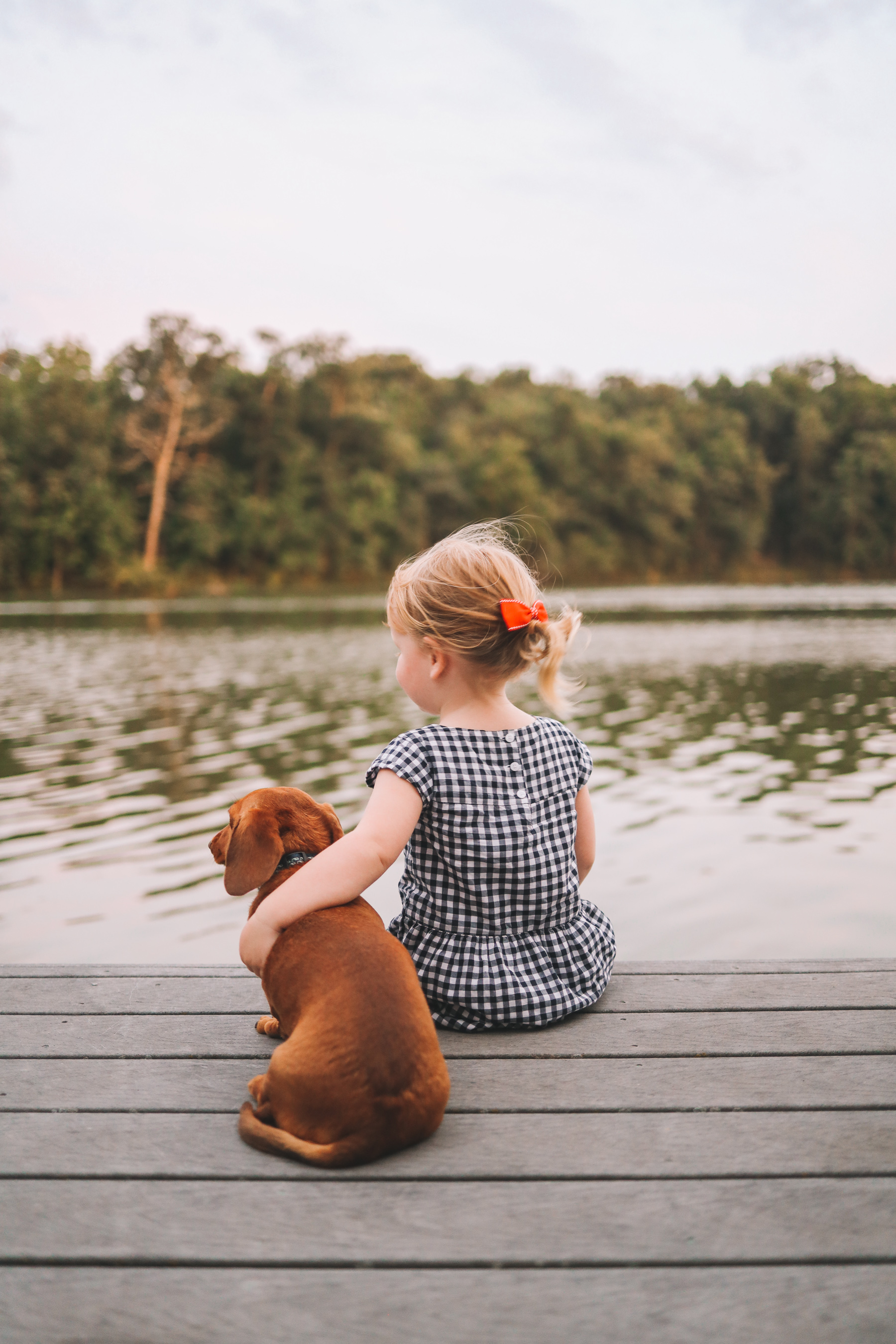 noodle on the go with a little girl snuggling the dog