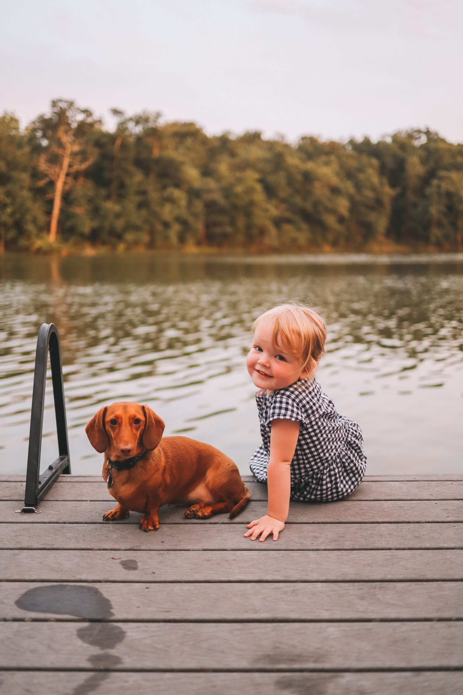  dog and a girl and noodle on the go