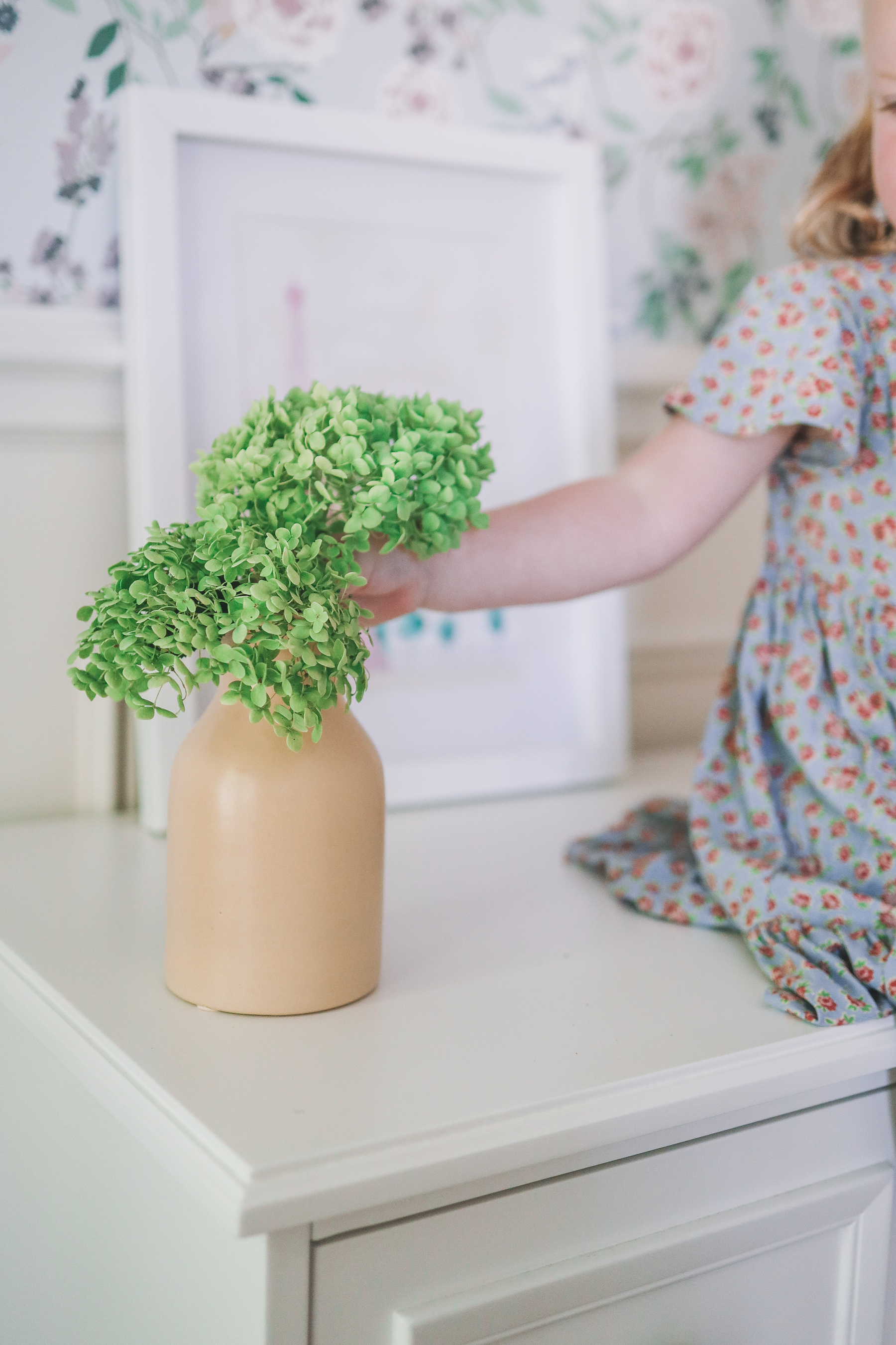 green plant on a white dresser