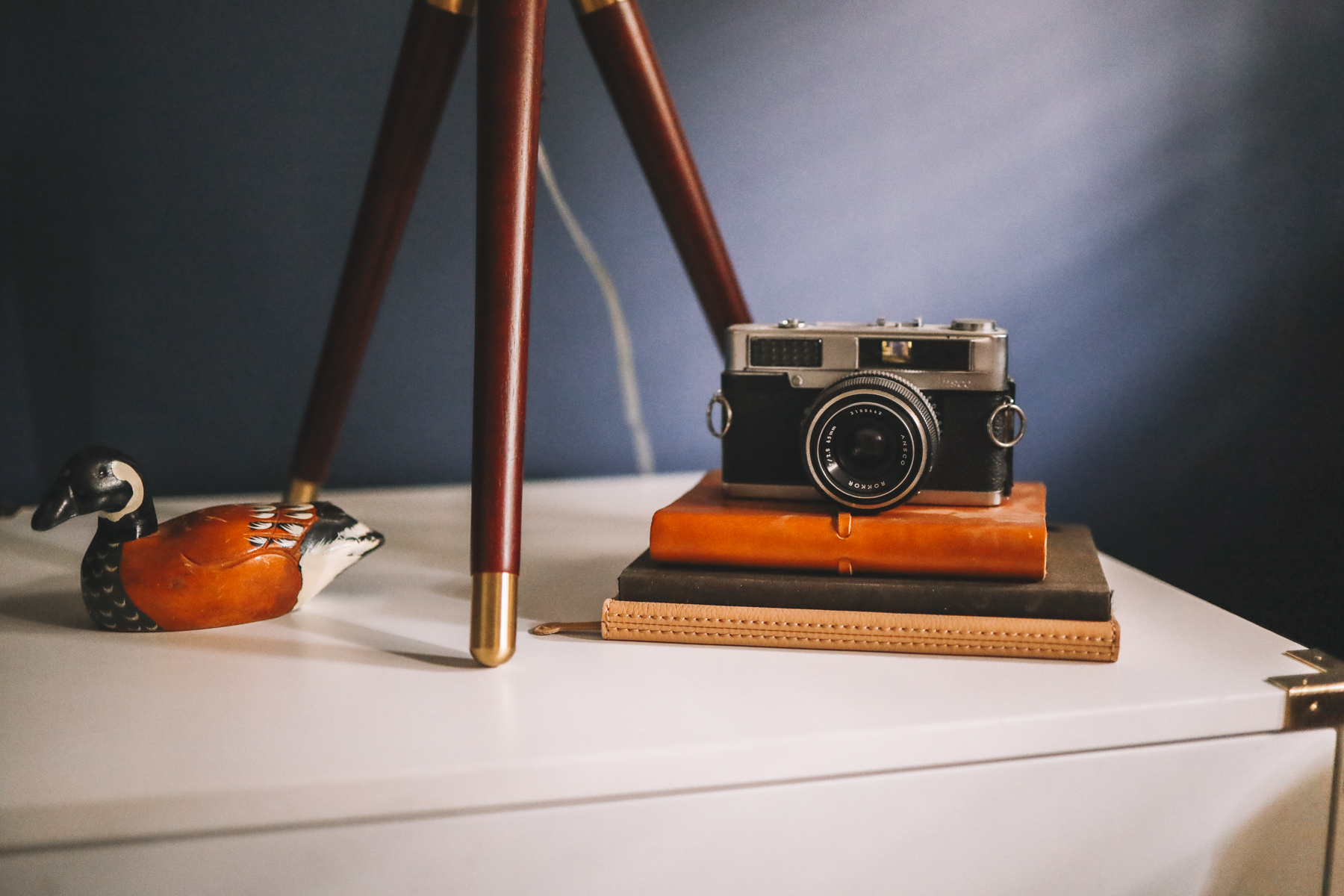 camera and books and a white shelf