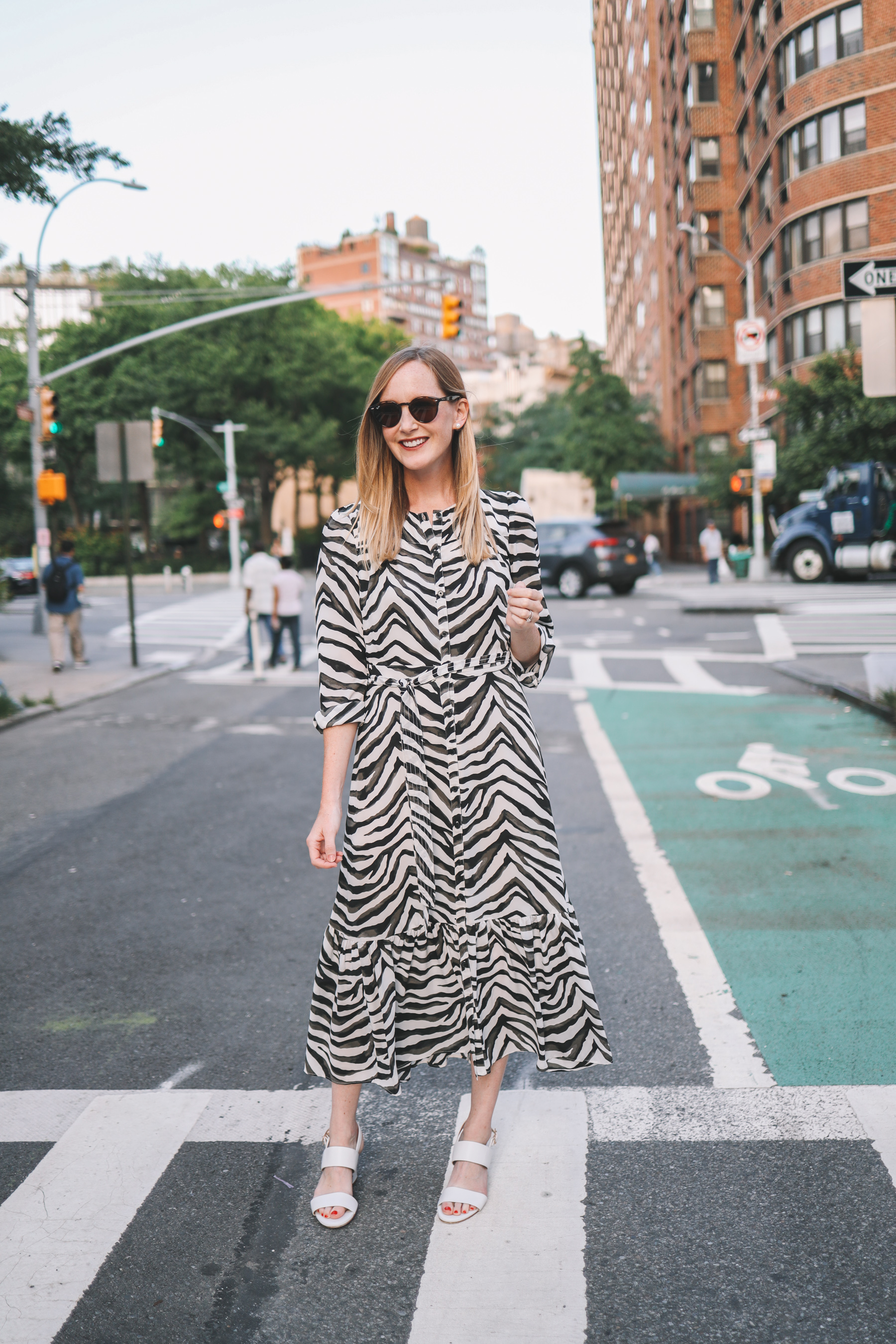 The  Zebra Dress from Banana Republic | Kelly in the City