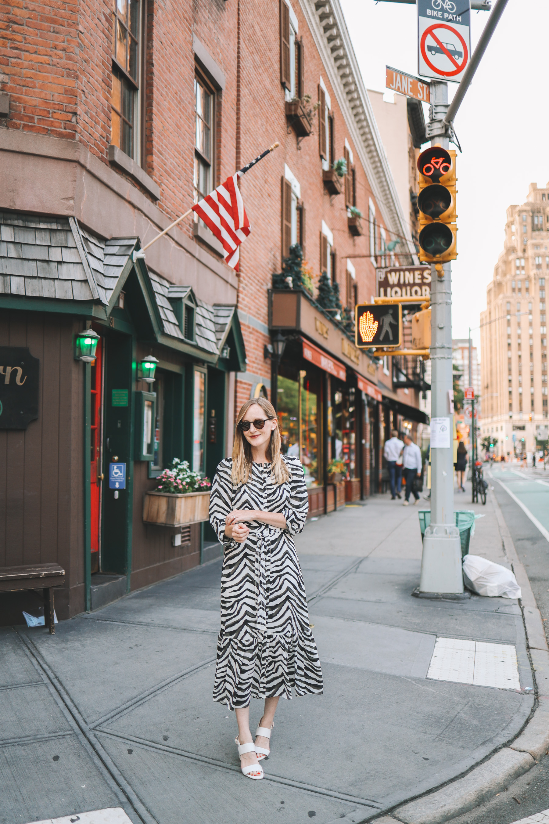 The  Zebra Dress from Banana Republic by Kelly in the City