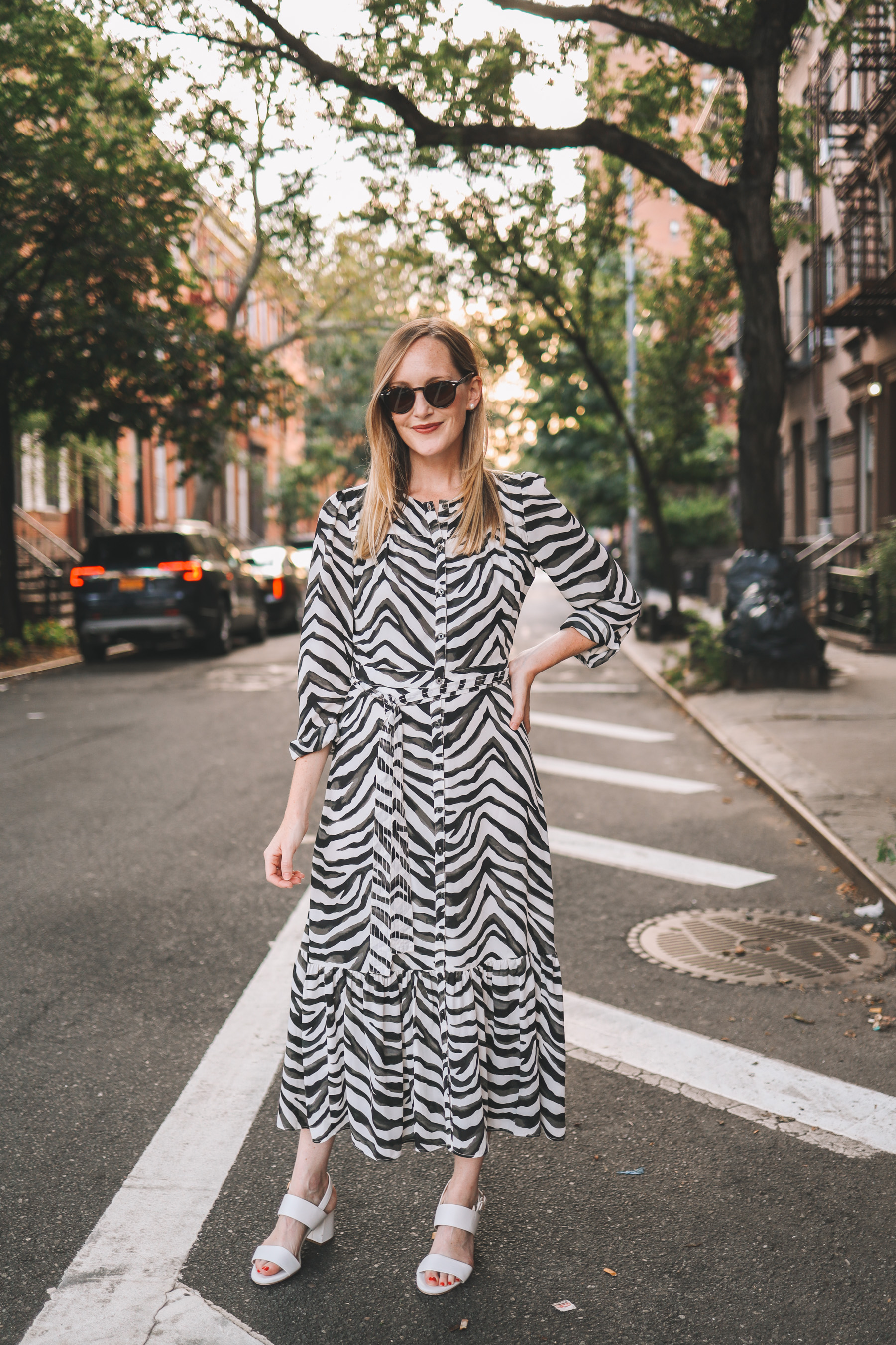 The Zebra Dress - Banana Republic Midi Shirt Dress | Kelly in the City