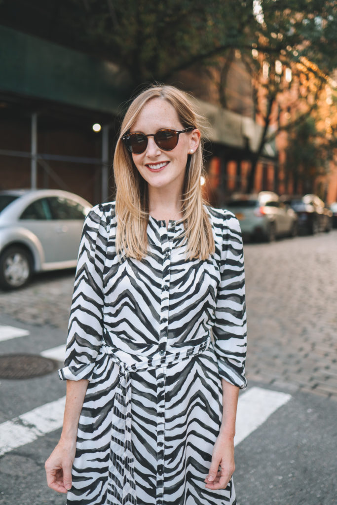 The Zebra Dress - Banana Republic Midi Shirt Dress | Kelly in the City