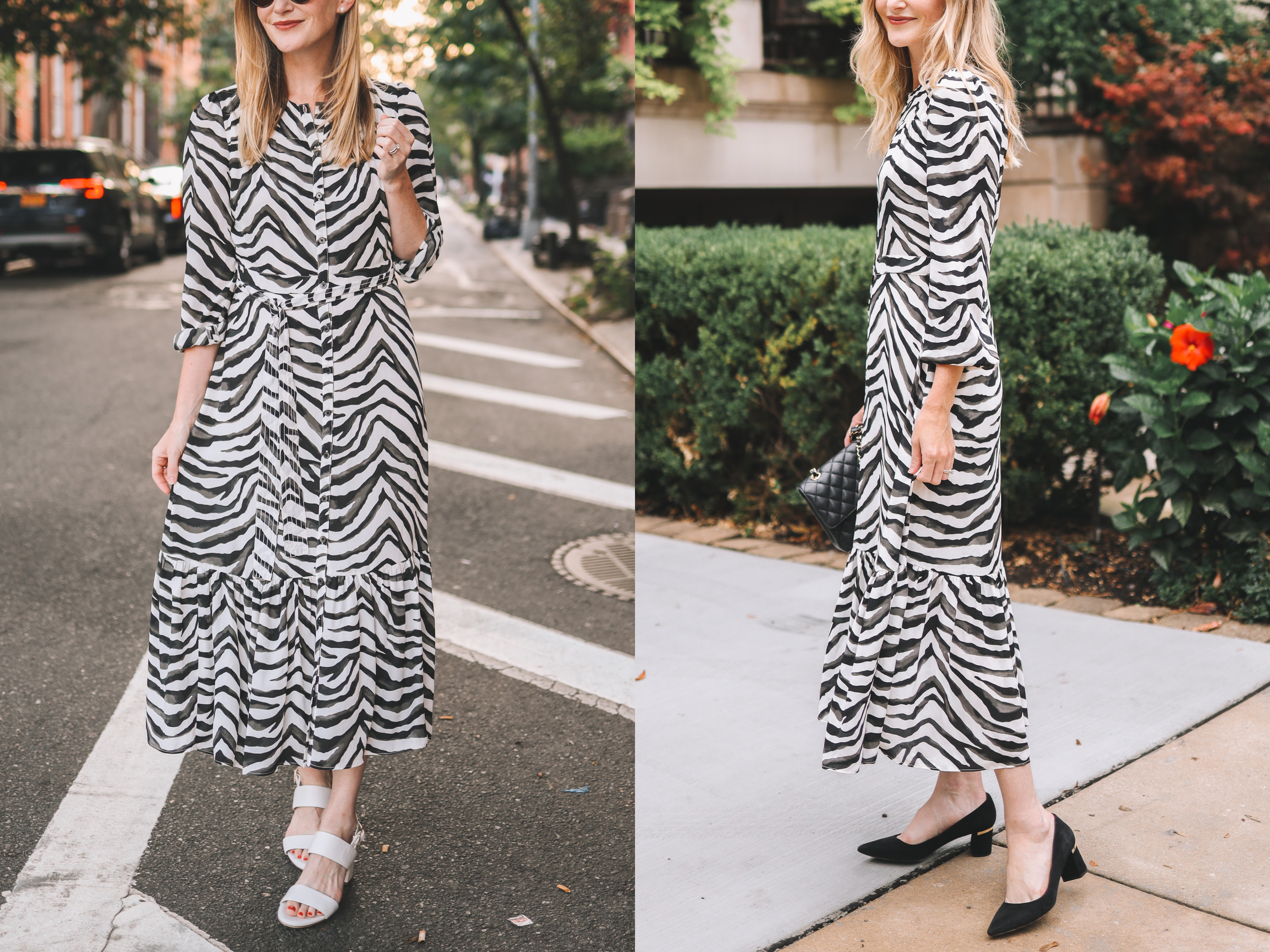 Banana republic sales zebra dress