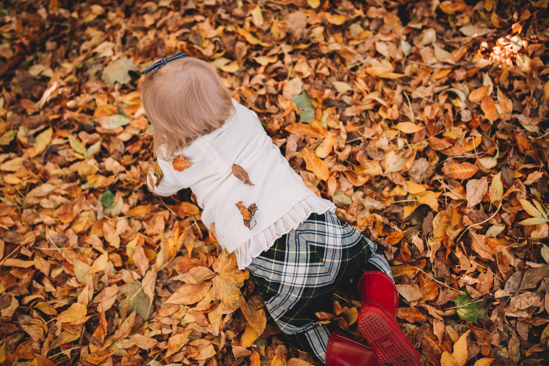 baby crawling in fall leaves