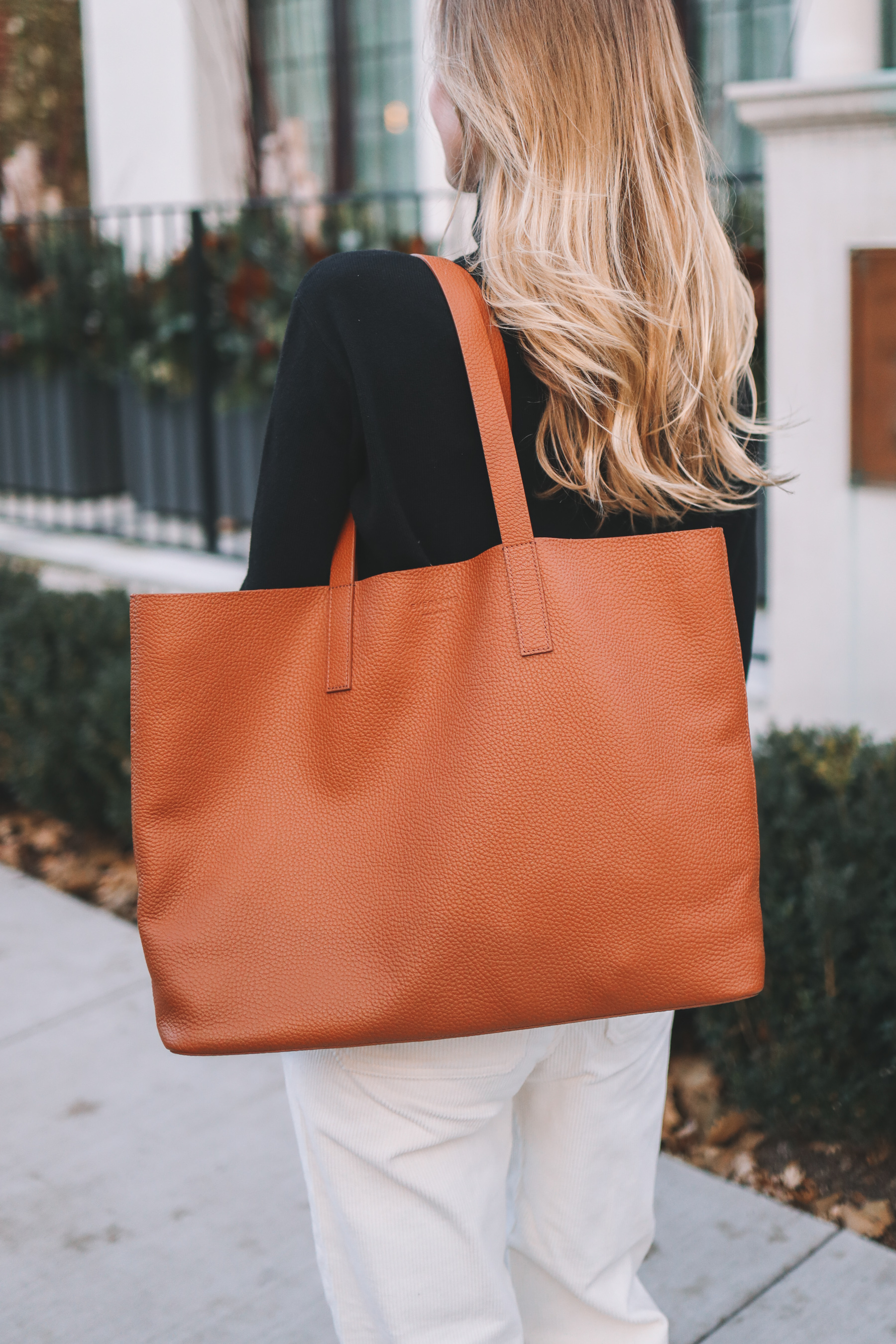 Everlane soft day outlet tote