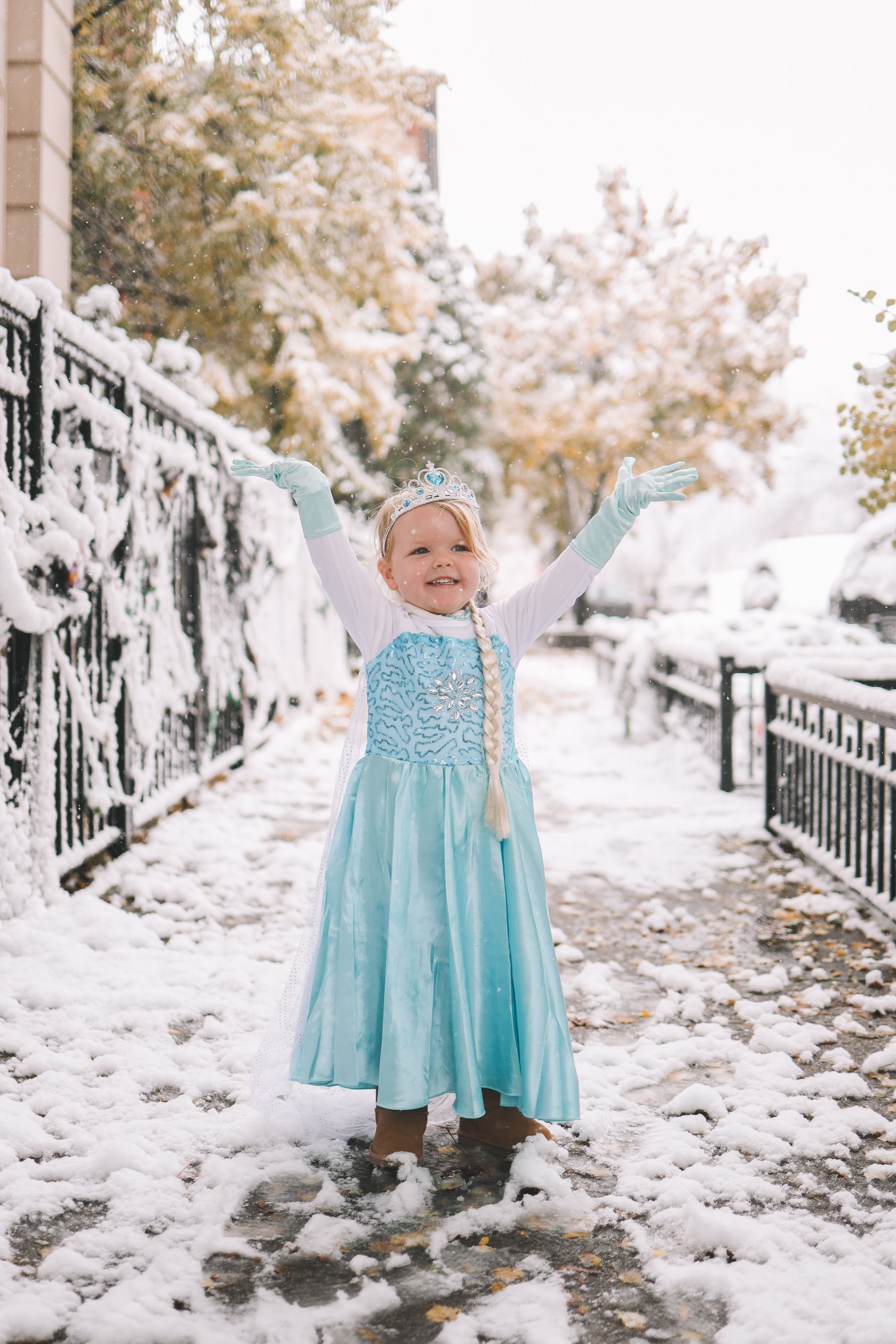 Elsa costume best sale 4 year old