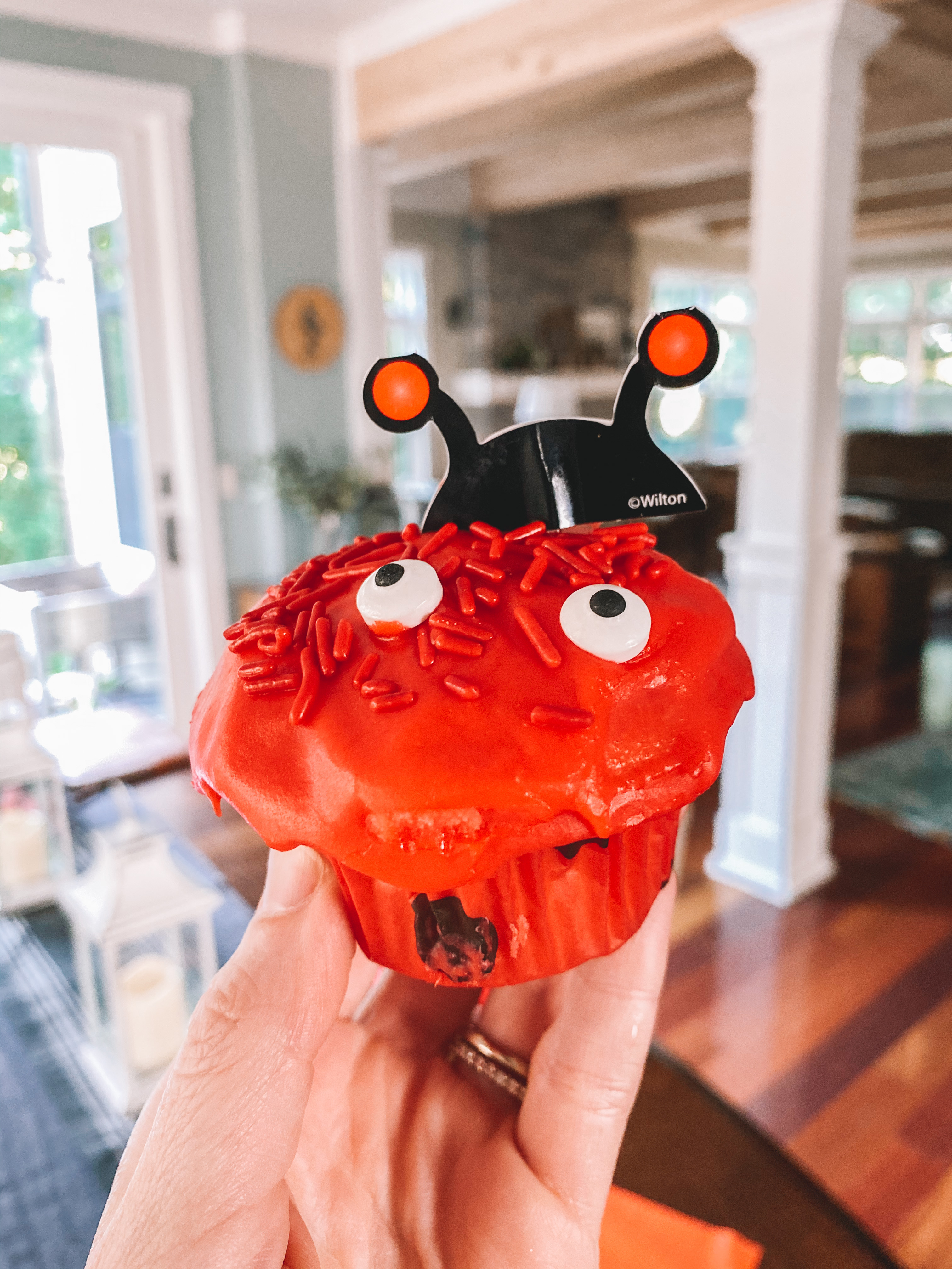 Ladybug Cupcake Kit