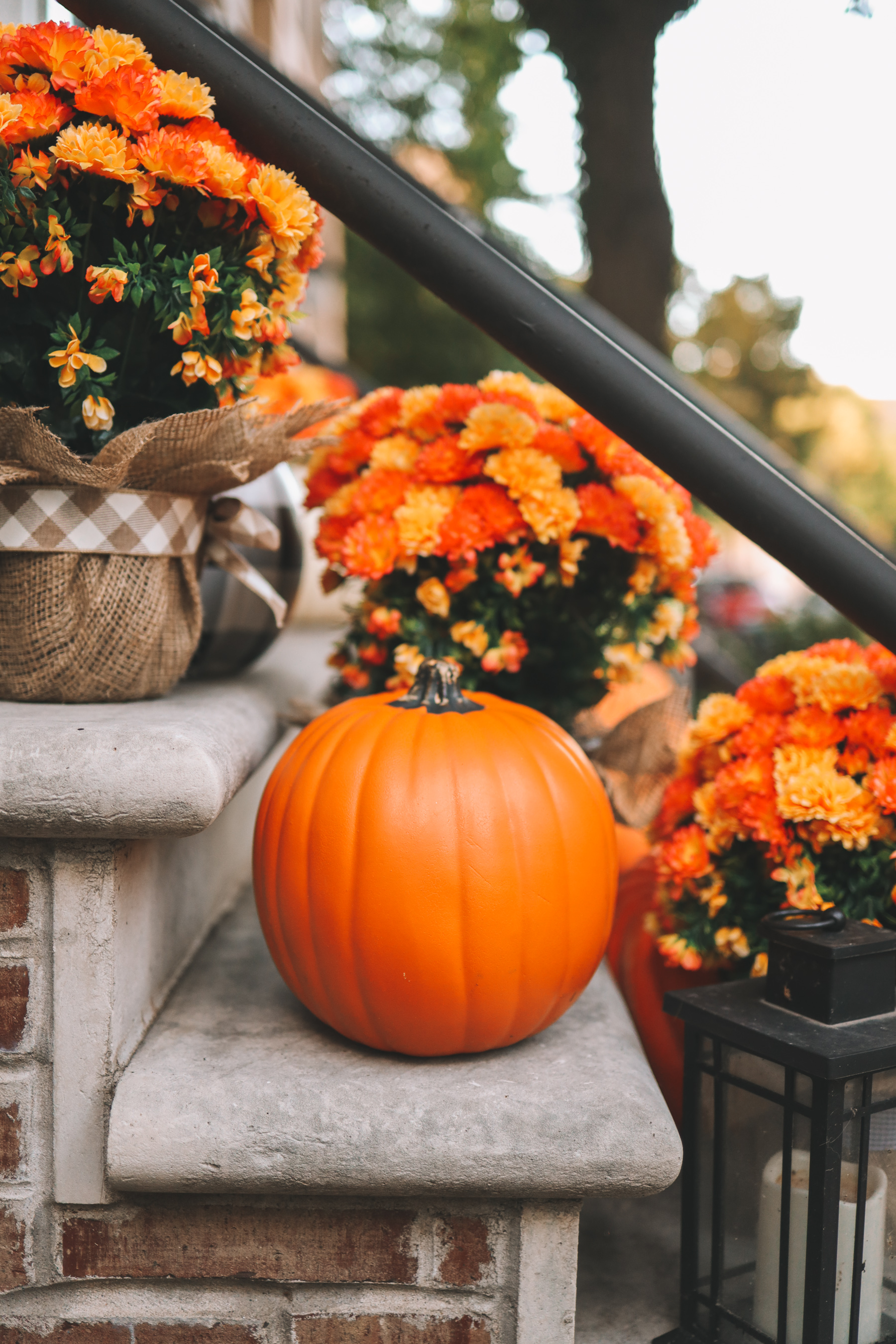 Fall, here I come . 5qt pumpkin cocotte : r/staub